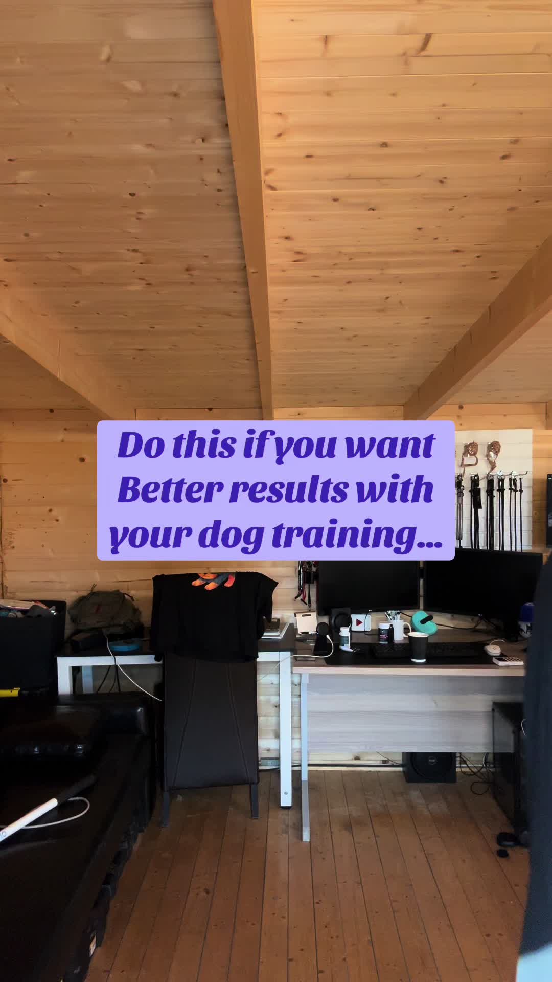 @SouthendDogTraining