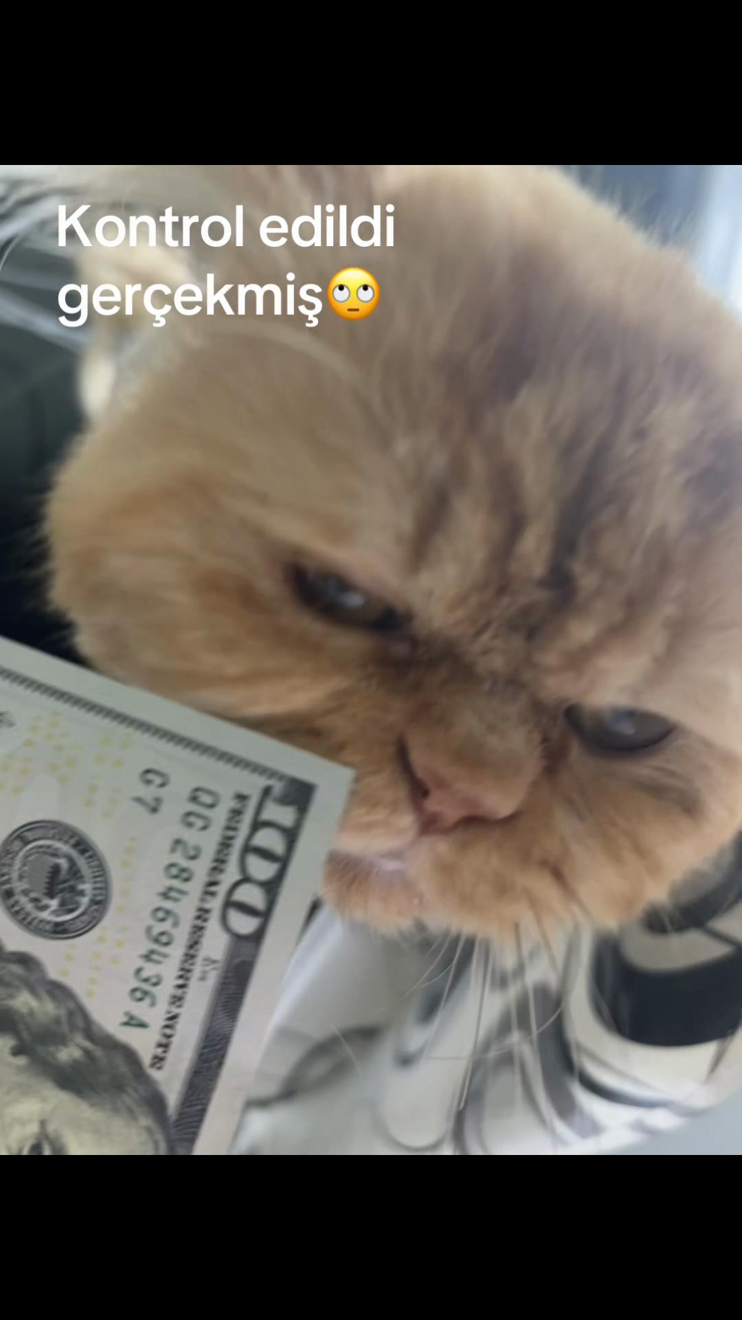 @Nagihan Uz