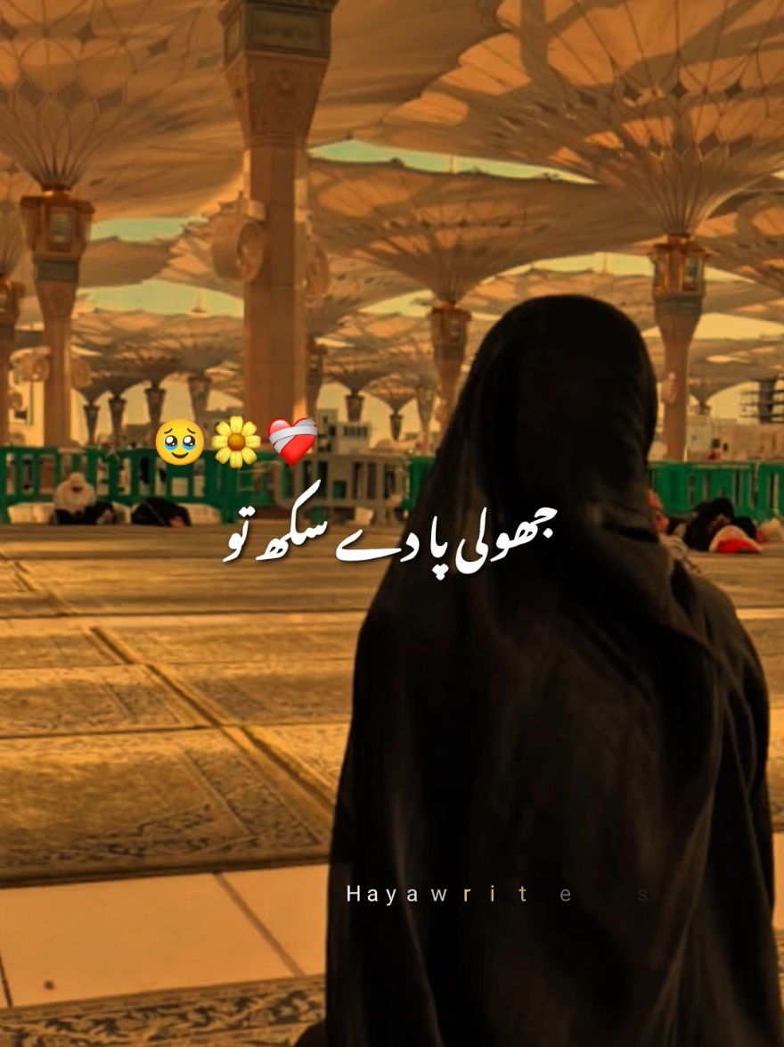 @Haya