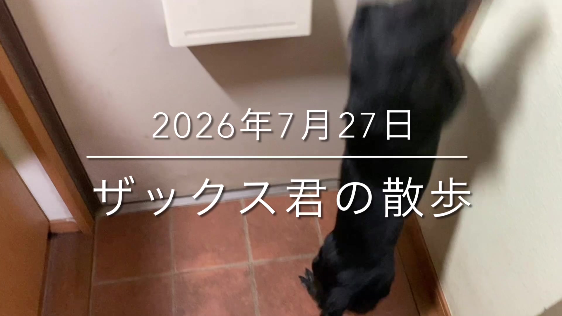 @sakihaman
