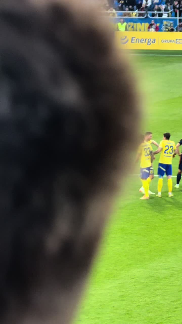 @𝐛𝐨𝐠𝐠𝐲