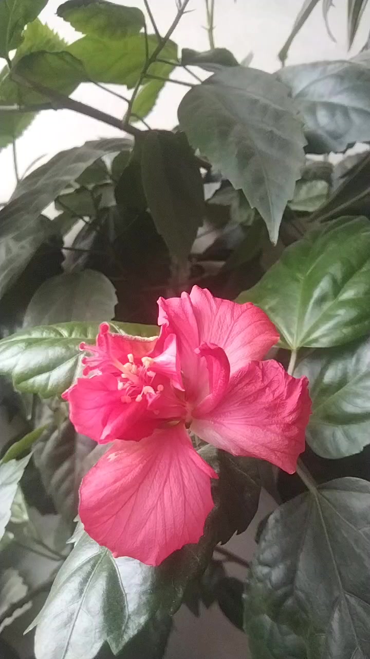@Артур