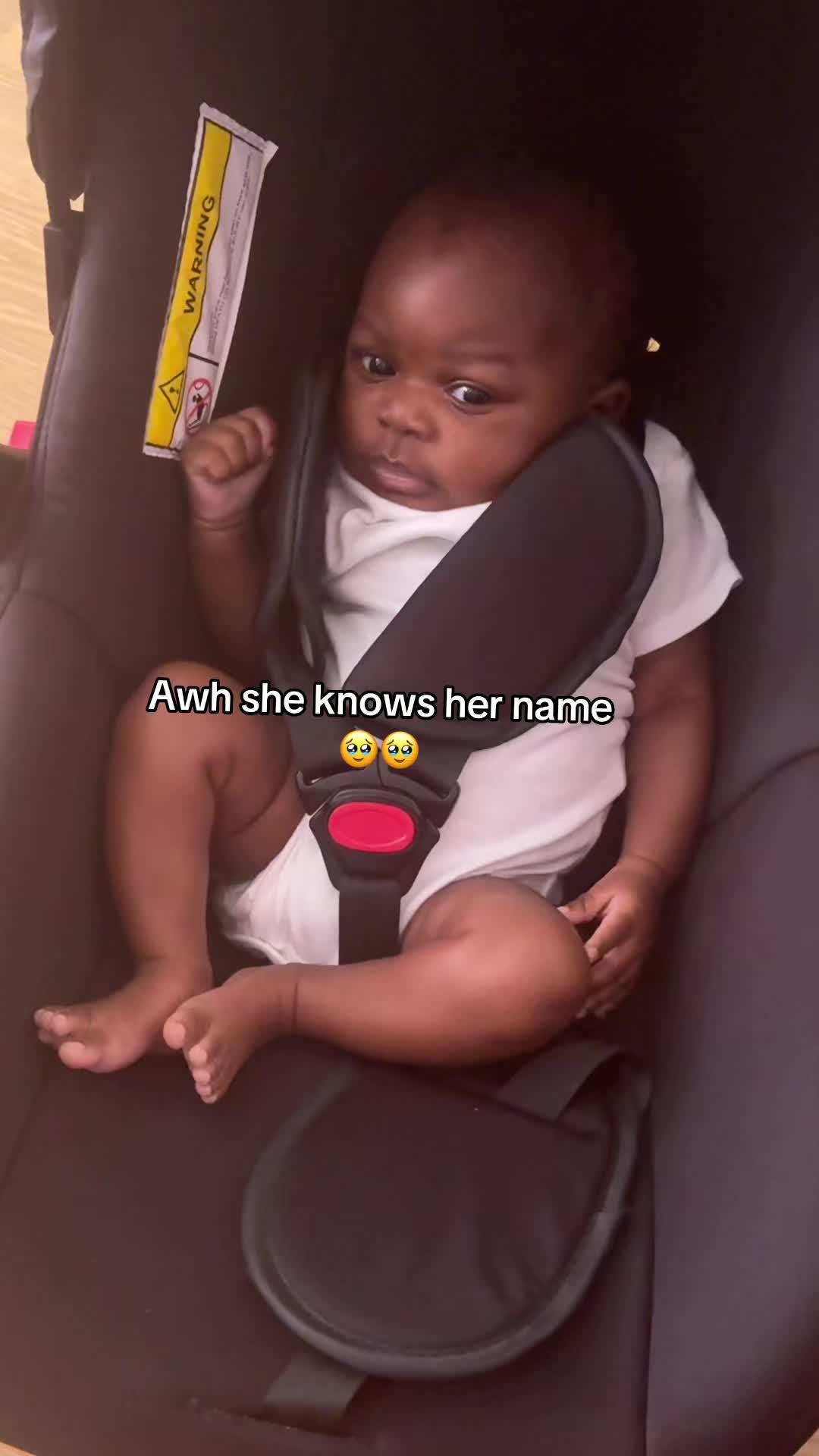 @IAMREIGNDOLLL