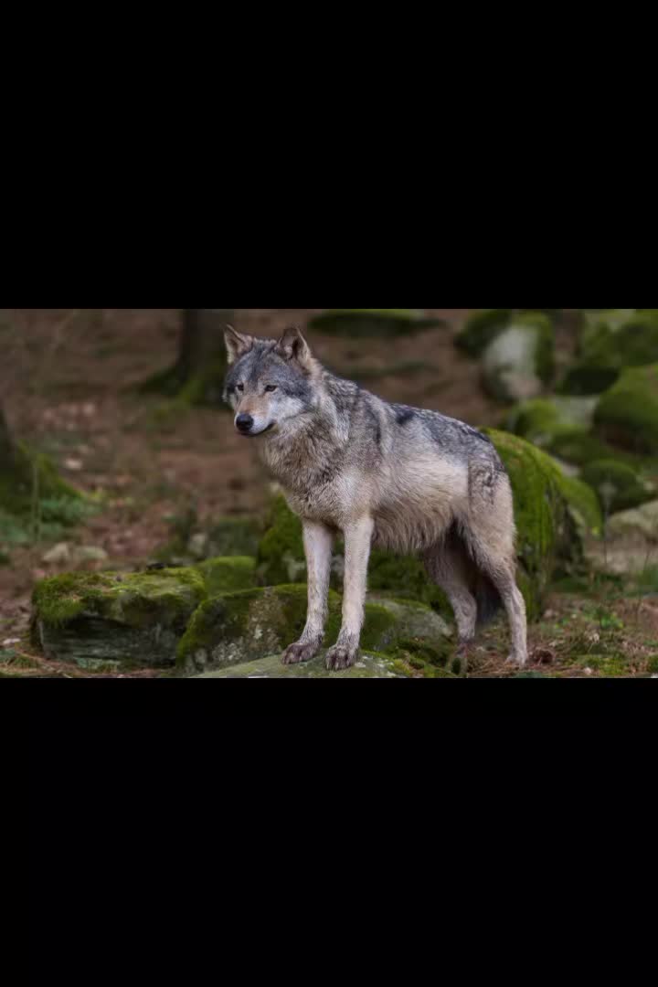 @Mauro Cataldo