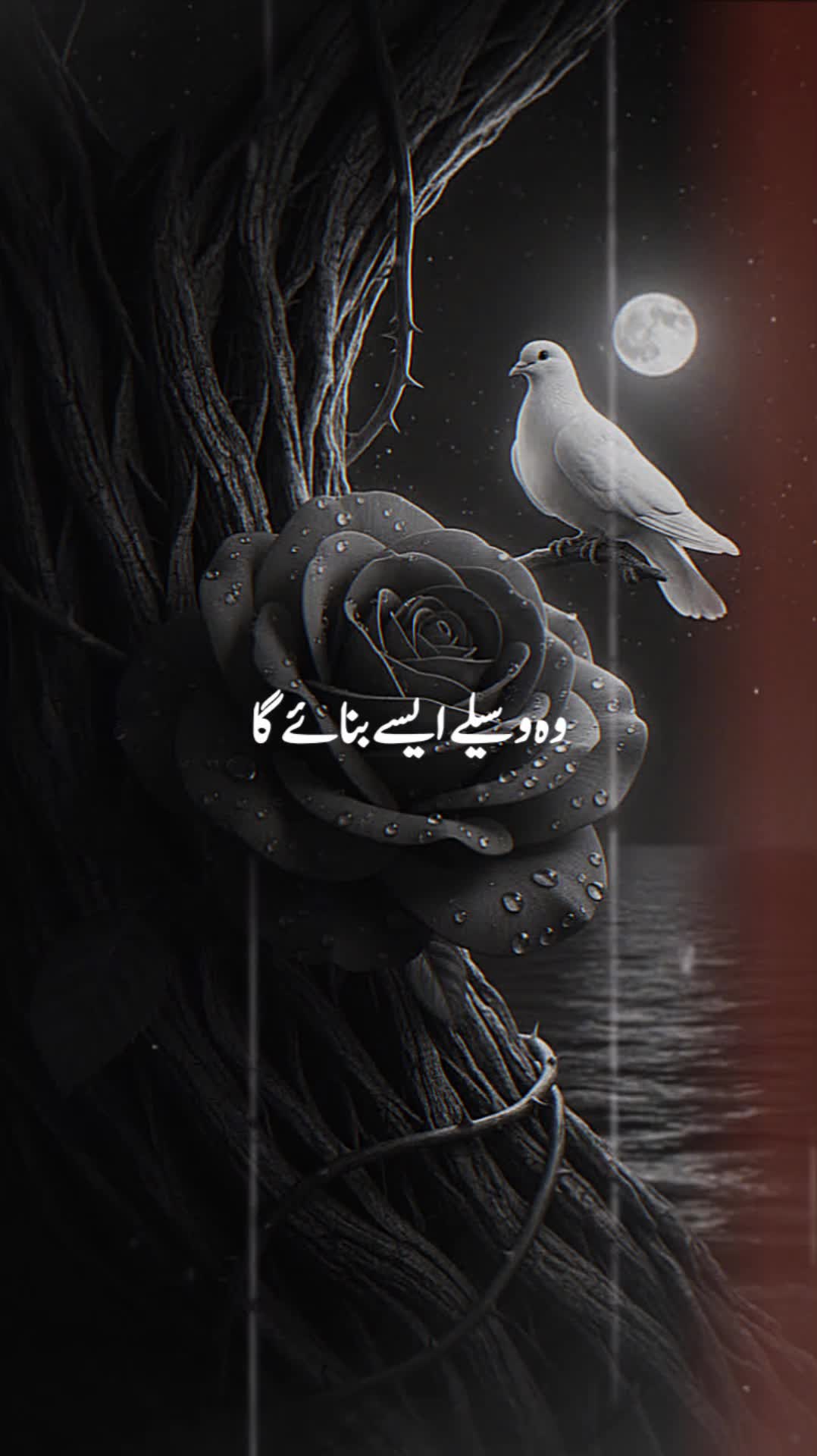 @Islamic Updates