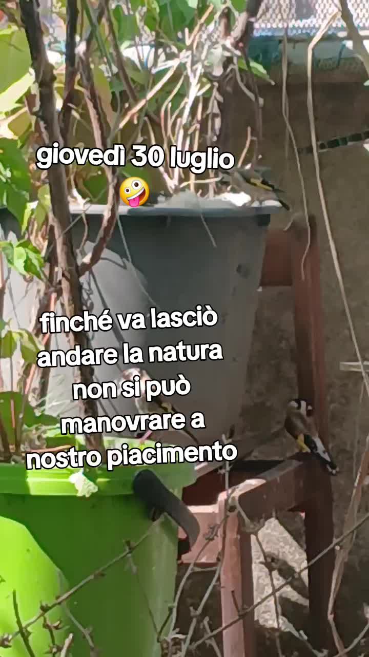 @Leonardo Dellacorte