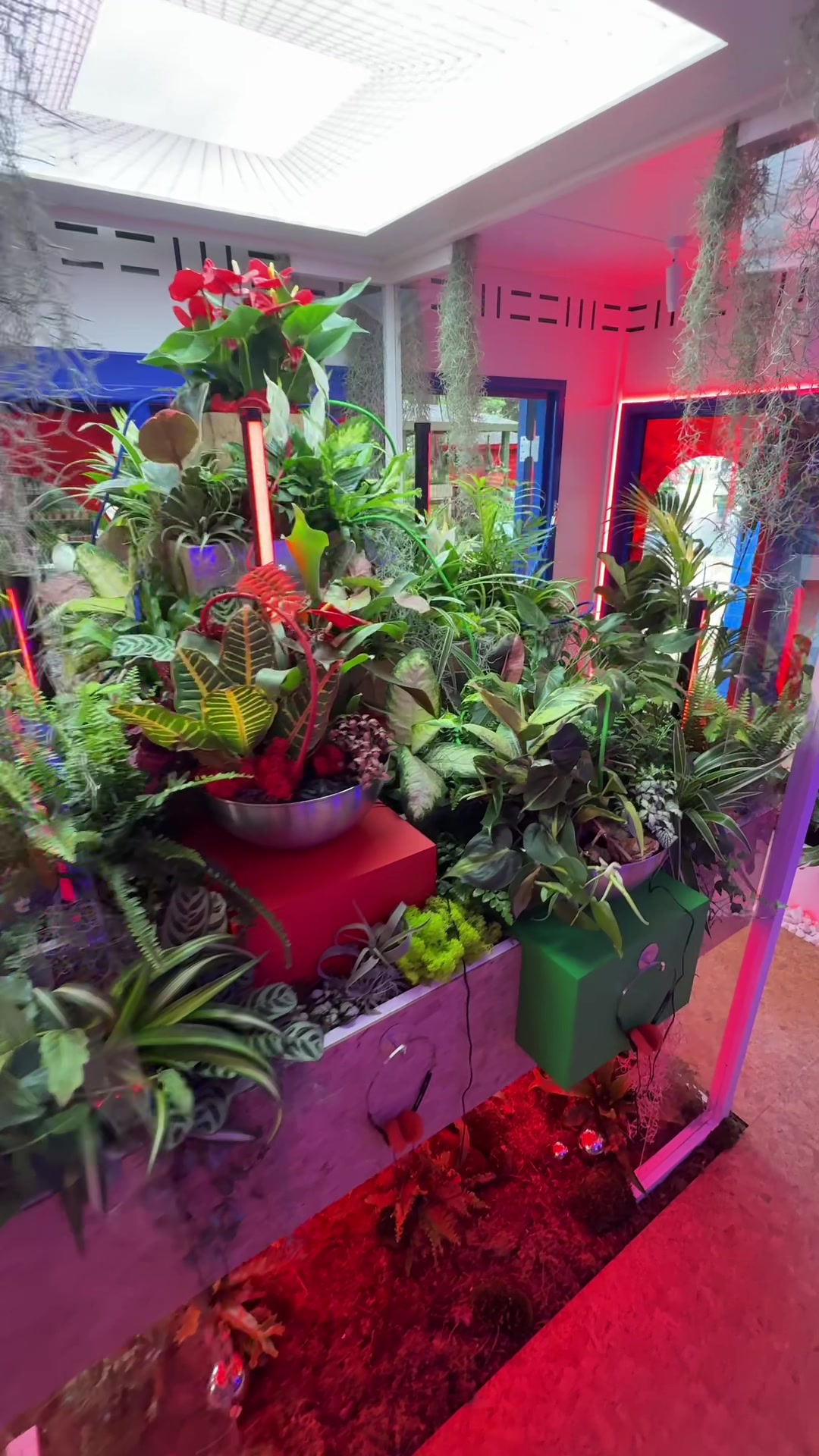 @plantsbythere