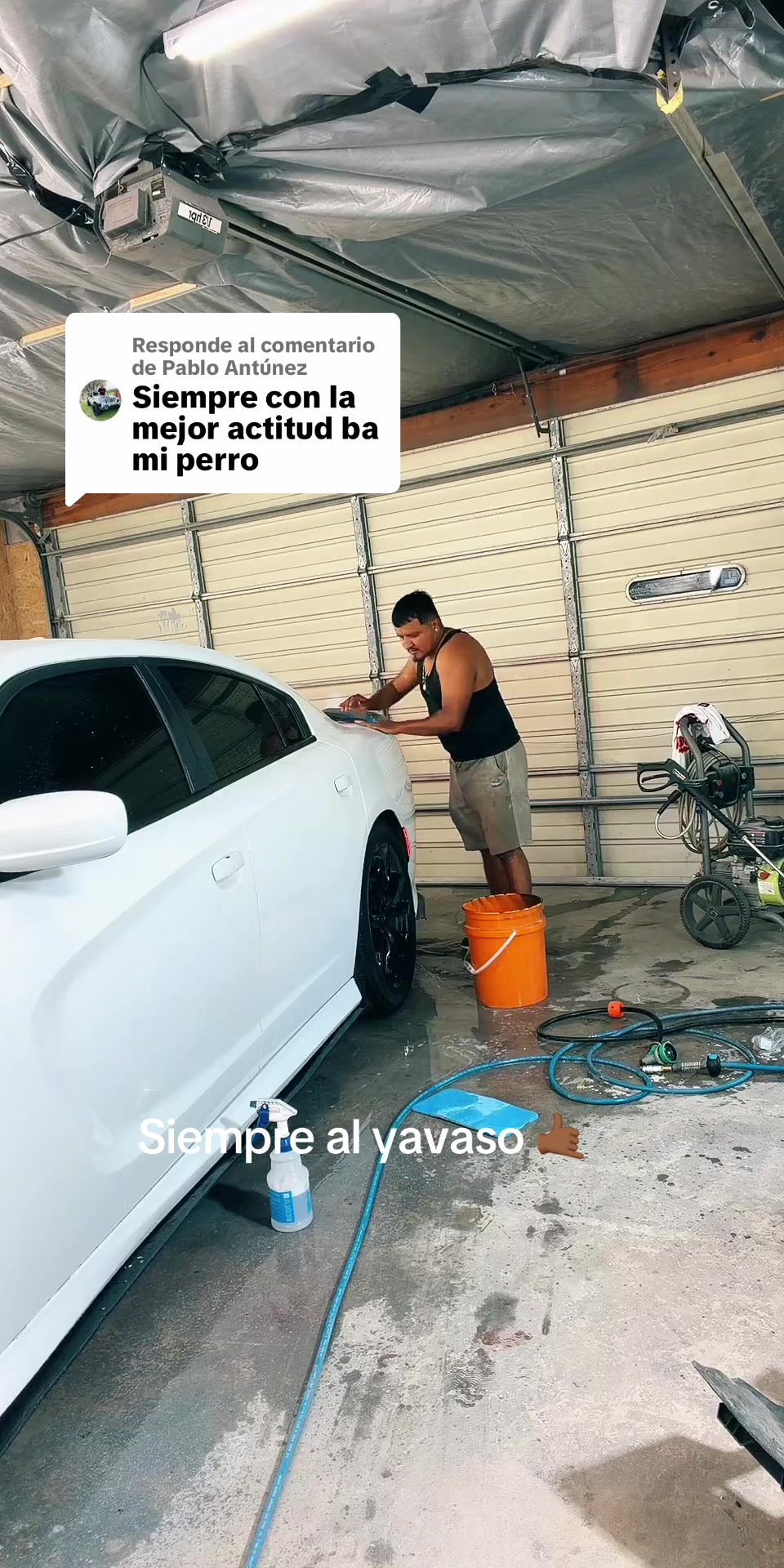 @FEDERIKO