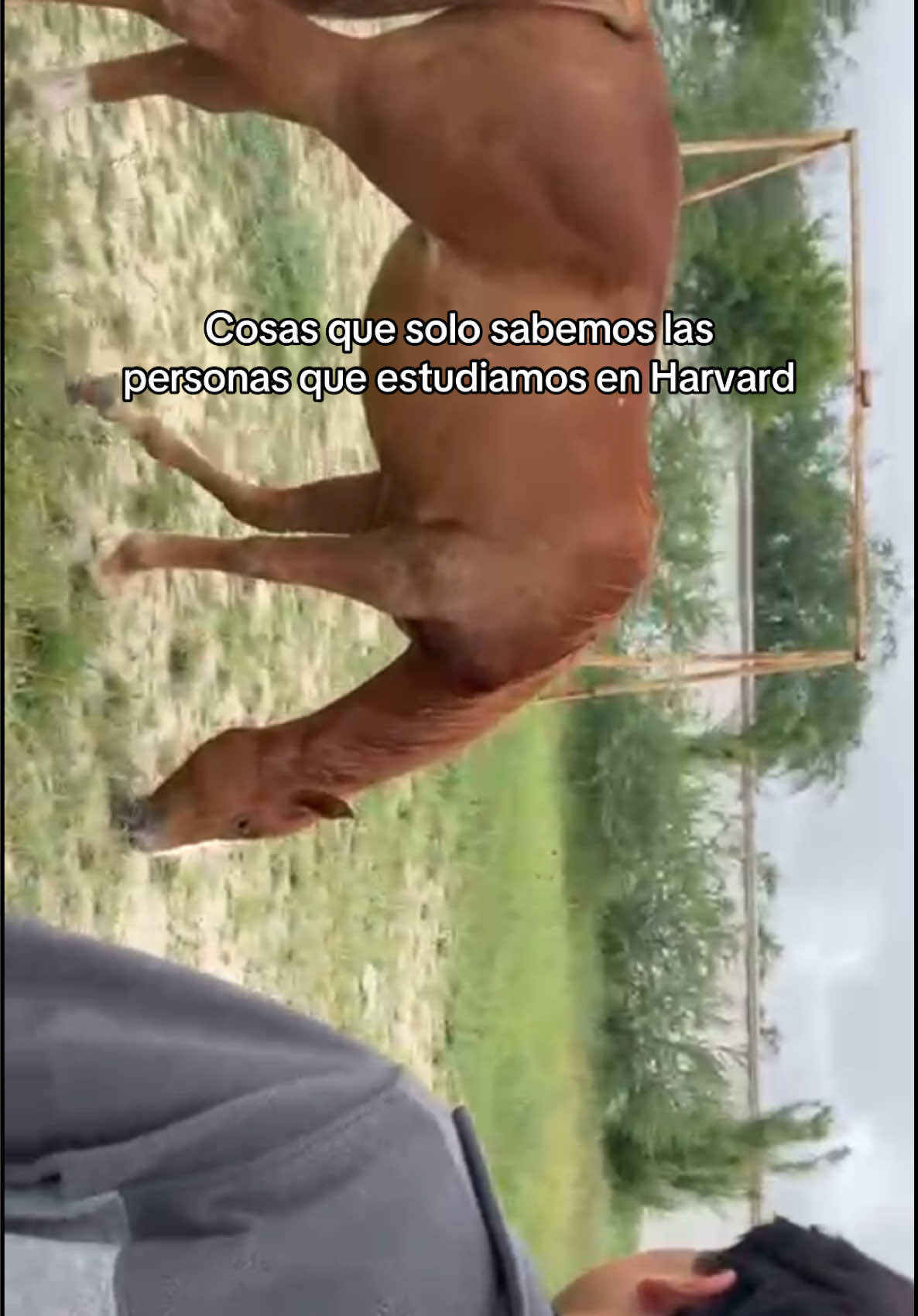 @teambautistas