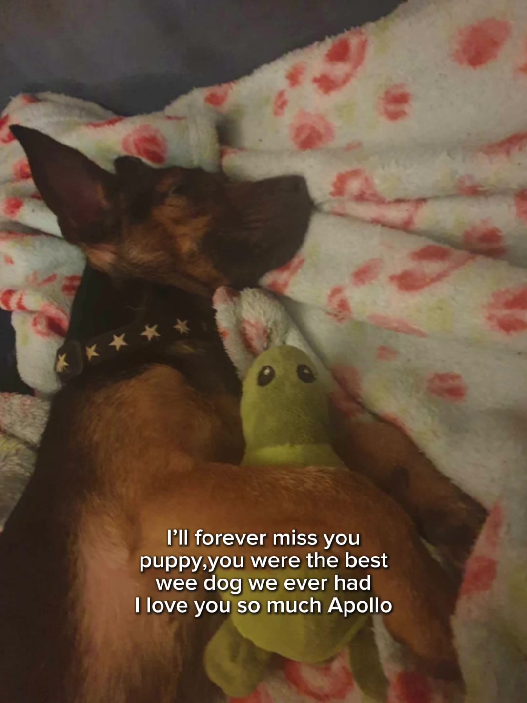 @Kai <3
