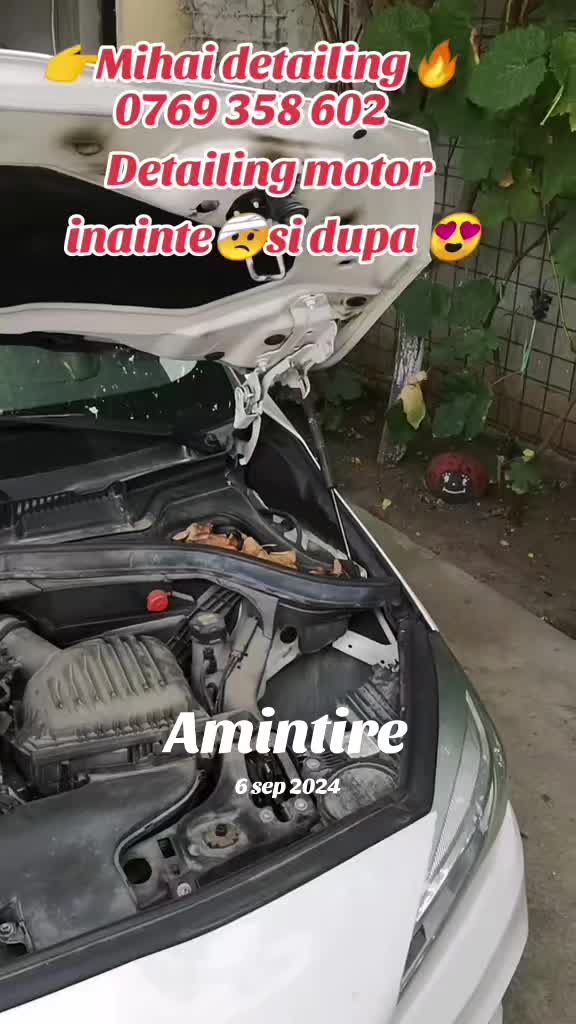 @mihaicalina
