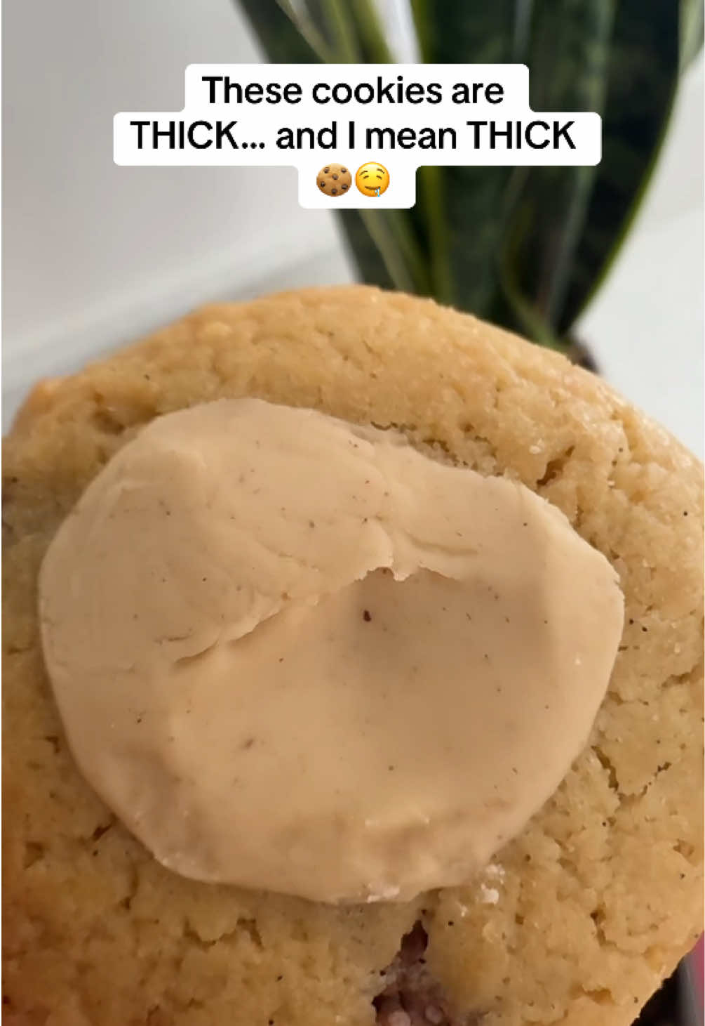 @Strudelsdoodles