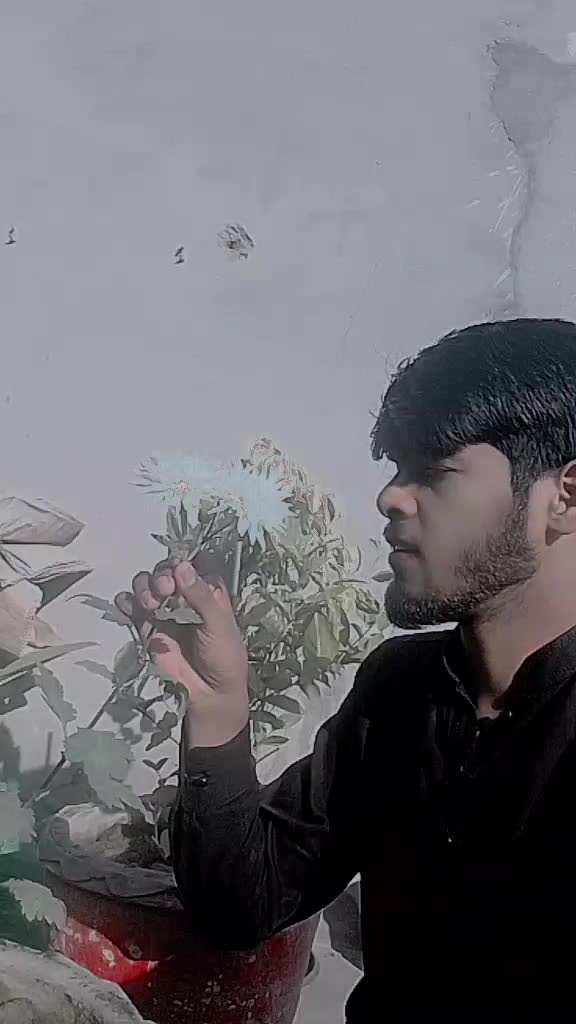 @Ali Hassan 785 🥱