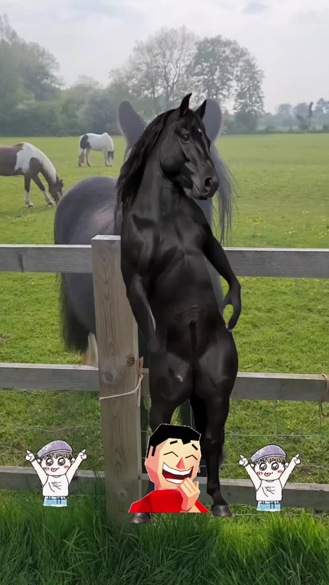 @ukmallu