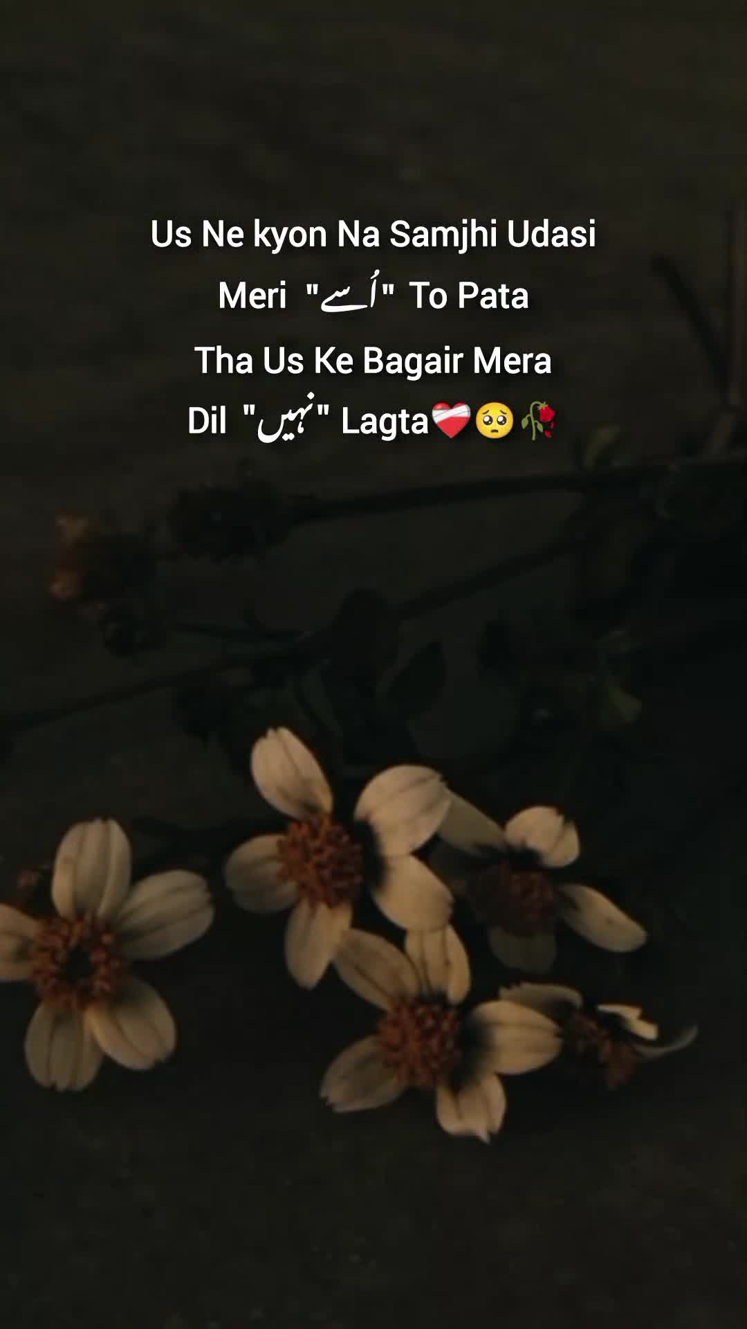 @𝓜𝓲𝓷𝓪𝓵 𝓹𝓸𝓮𝓽𝓻𝔂🫀