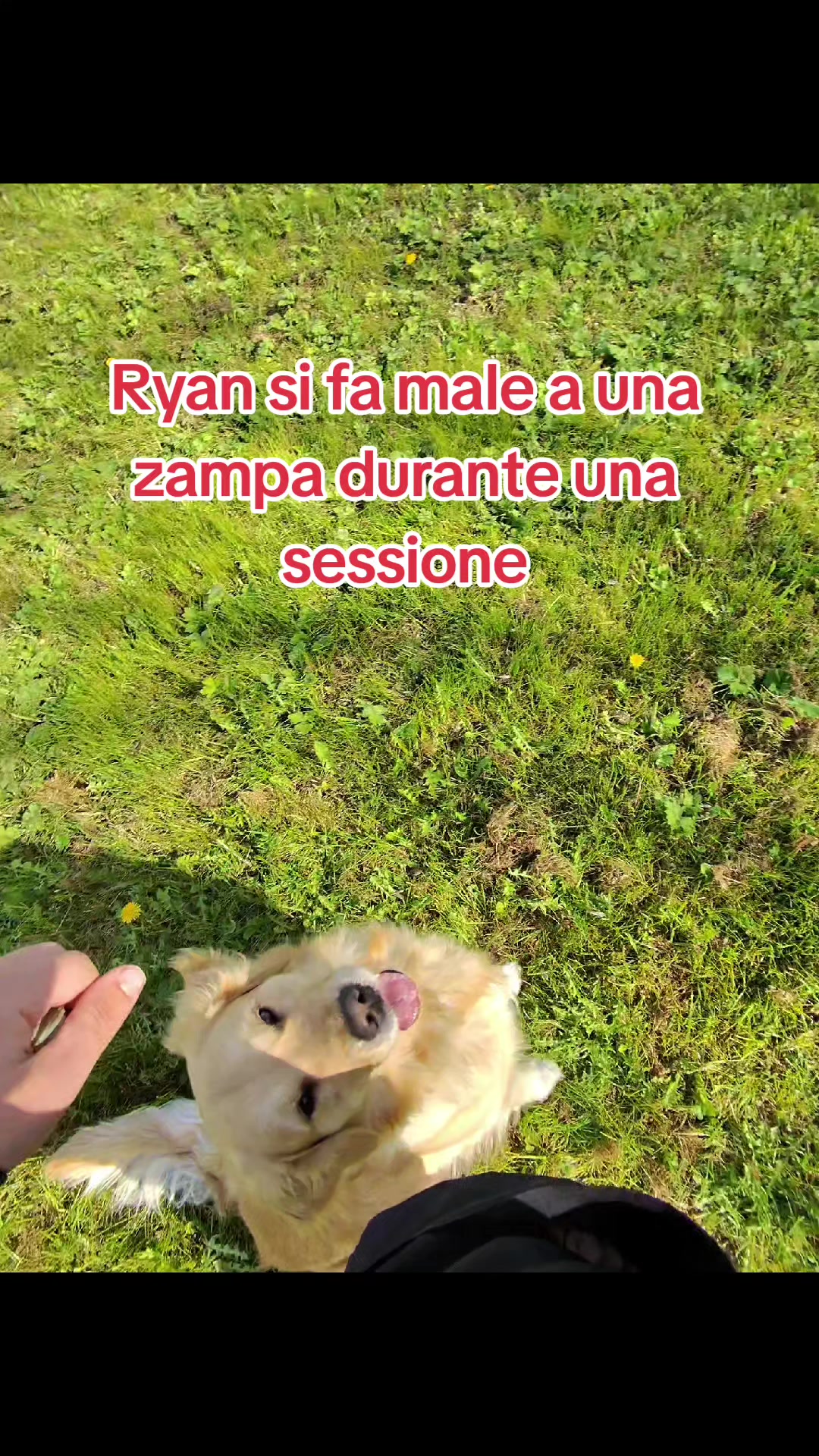 @Felice & Ryan
