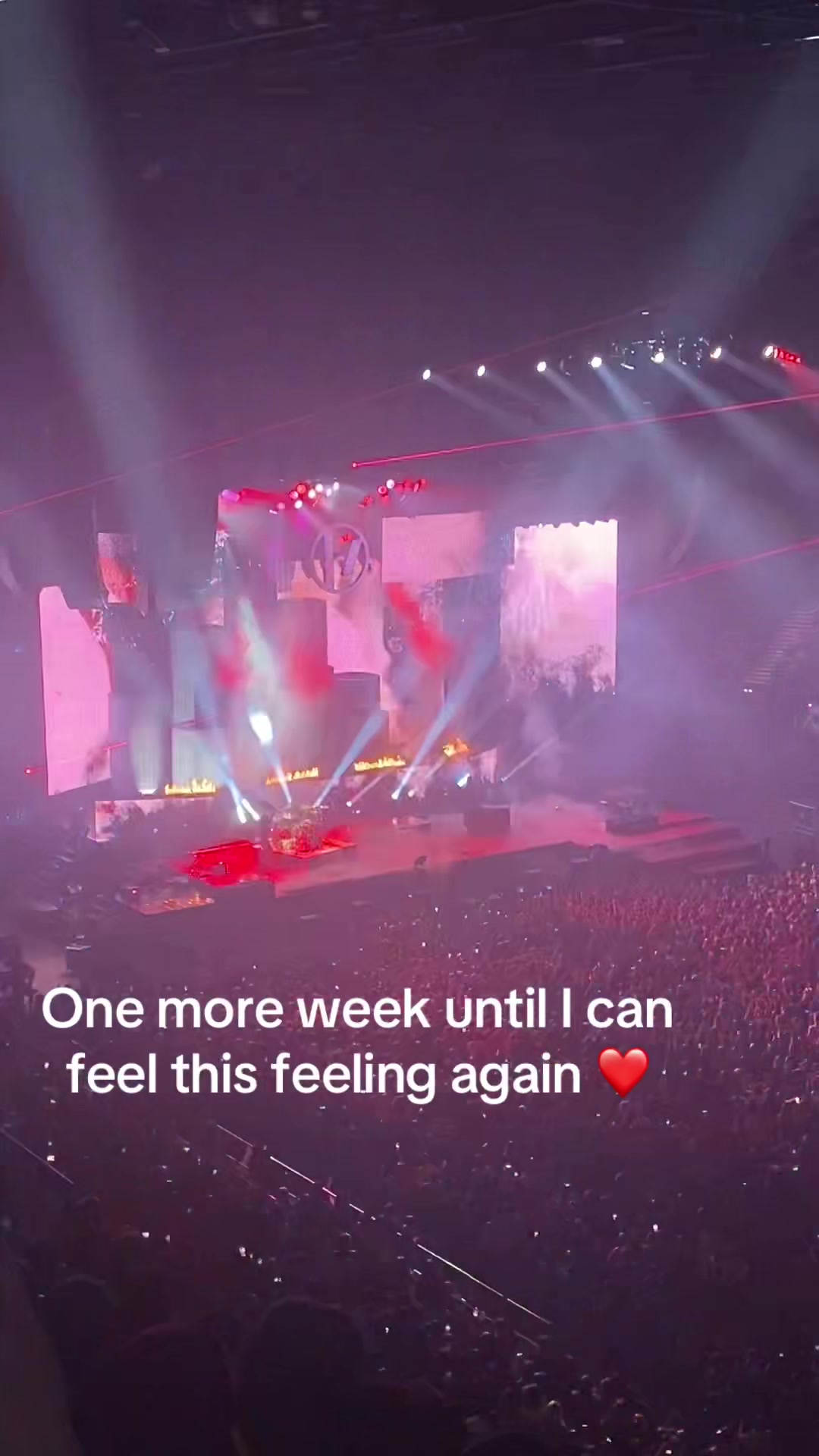 @Bee |-/ 🖤