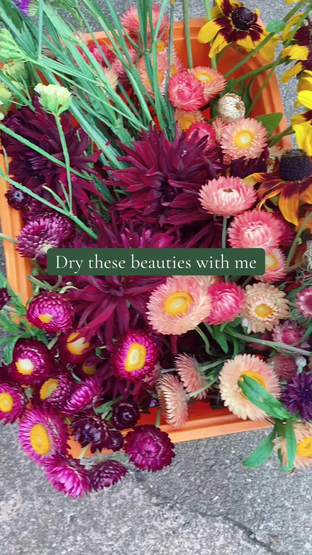 @BloomingFibres
