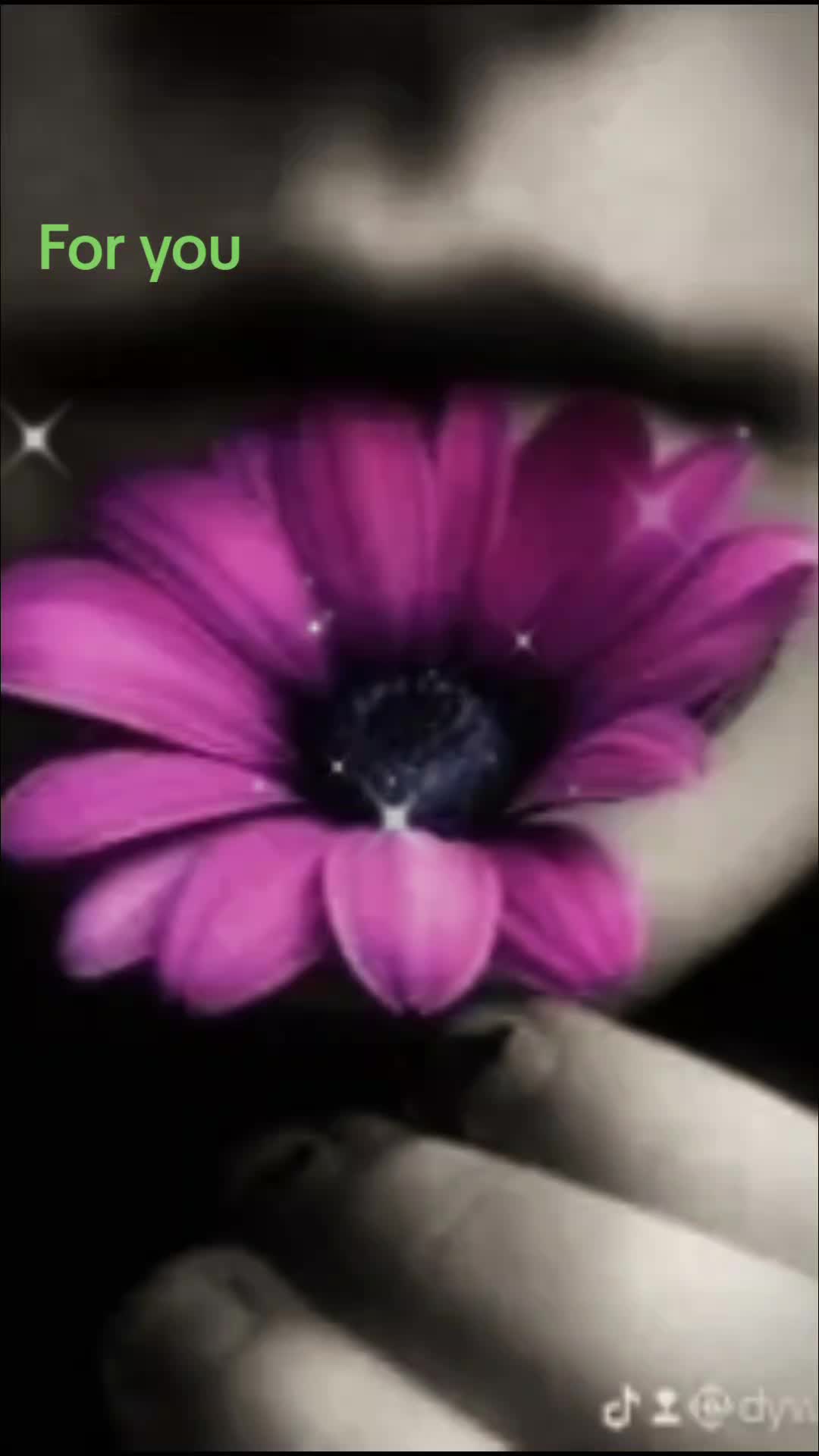 @@Elsa_1