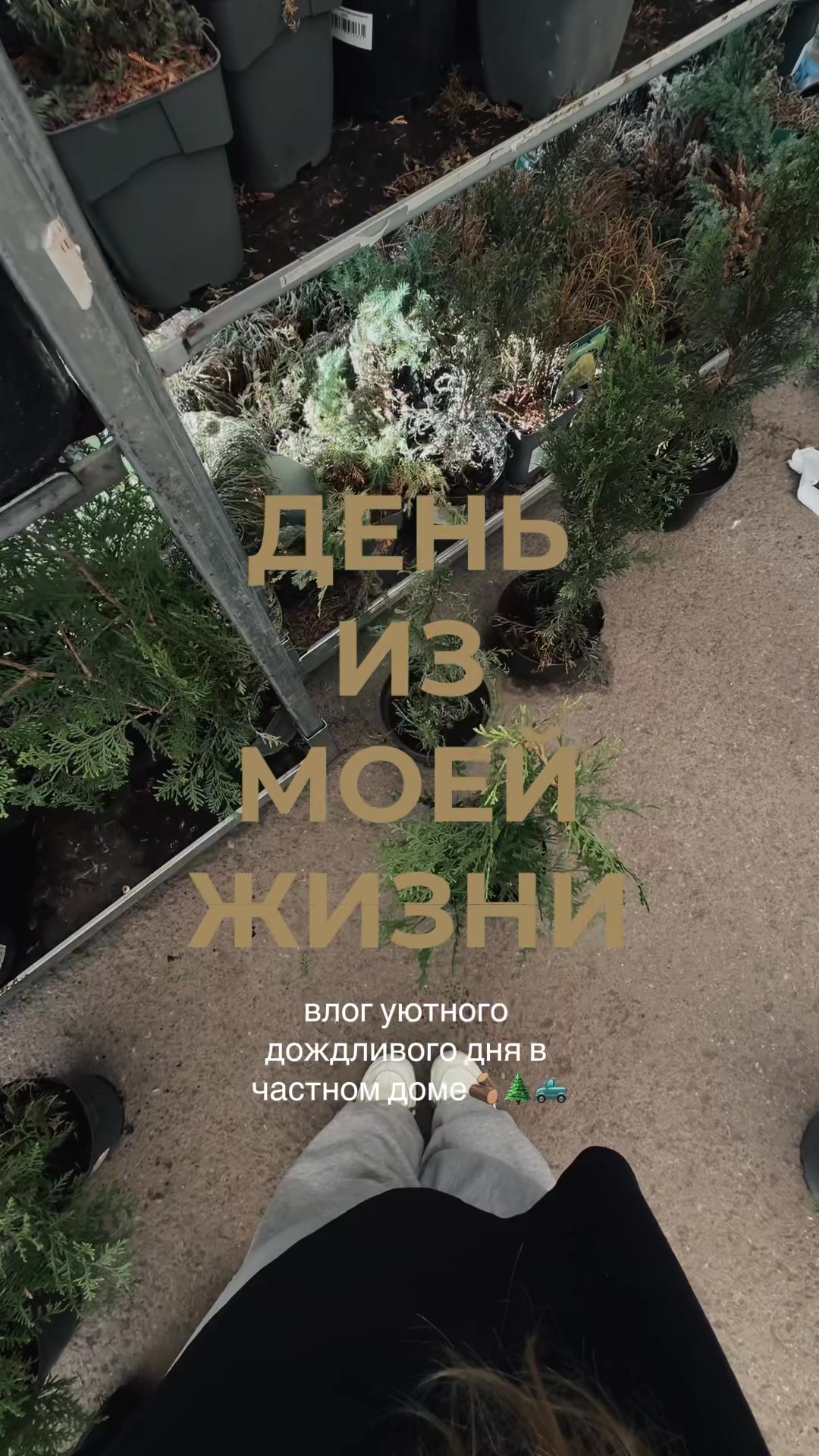 @маша ремизова