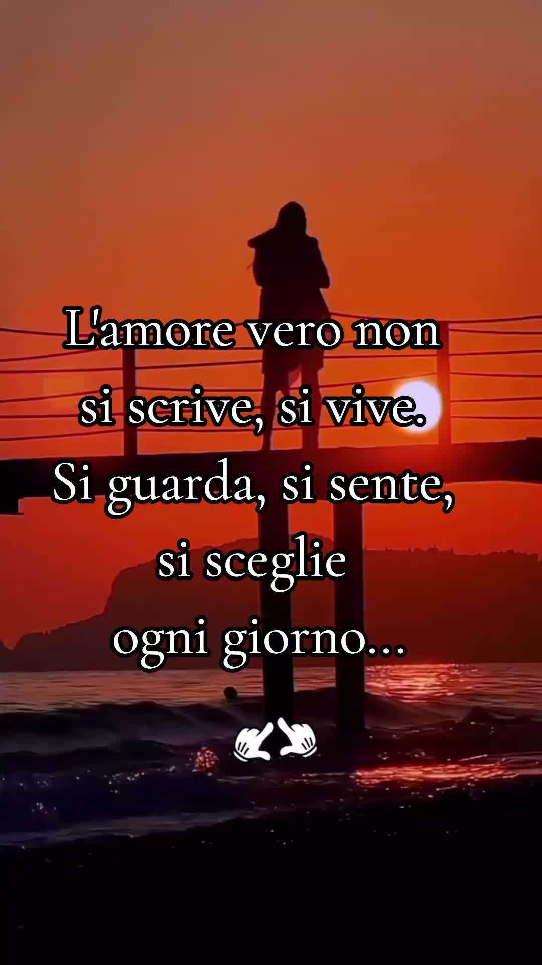 @Aldo Fusco orso 🧸