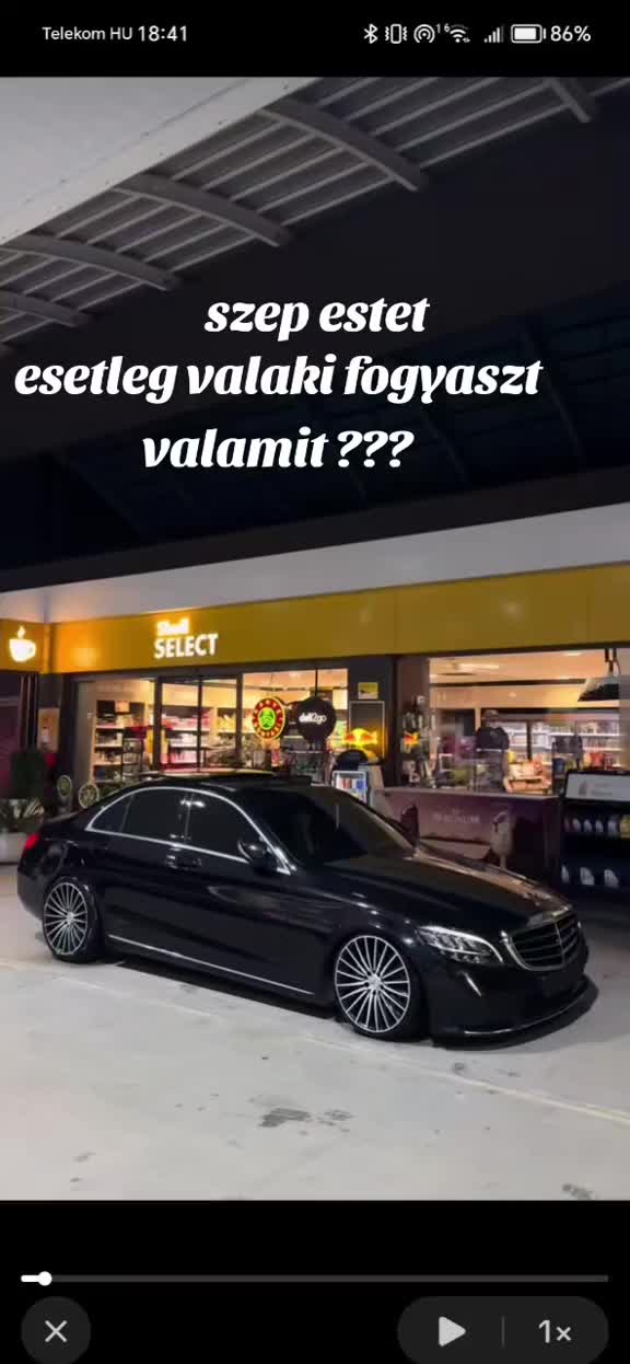 @Elemer Budai