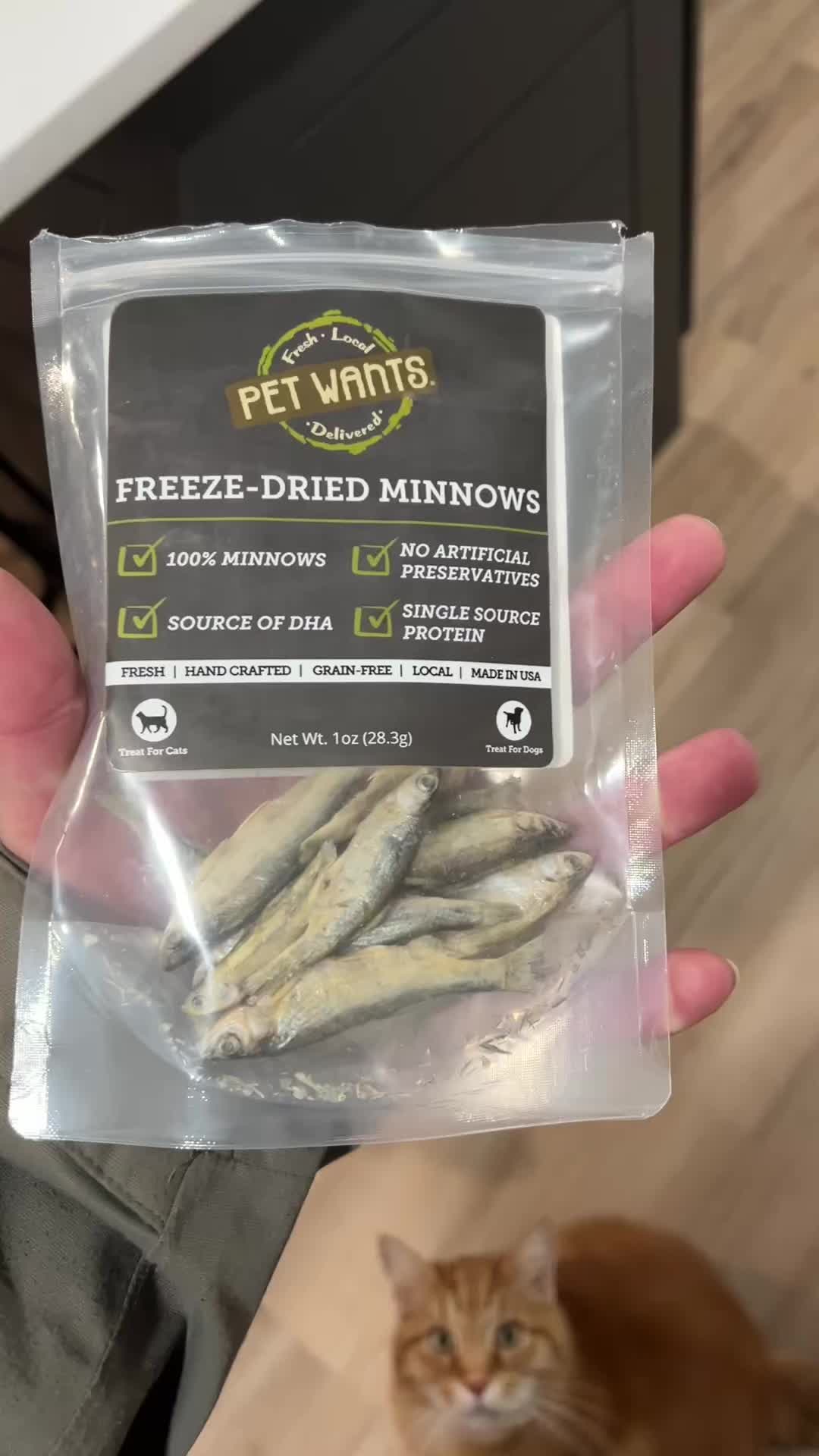 @parkcirclepetconcierge