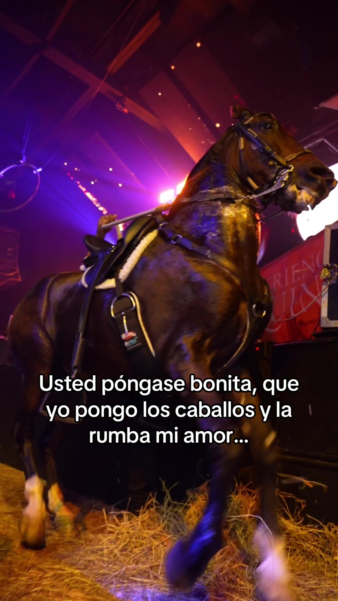 @boraboramedellin_