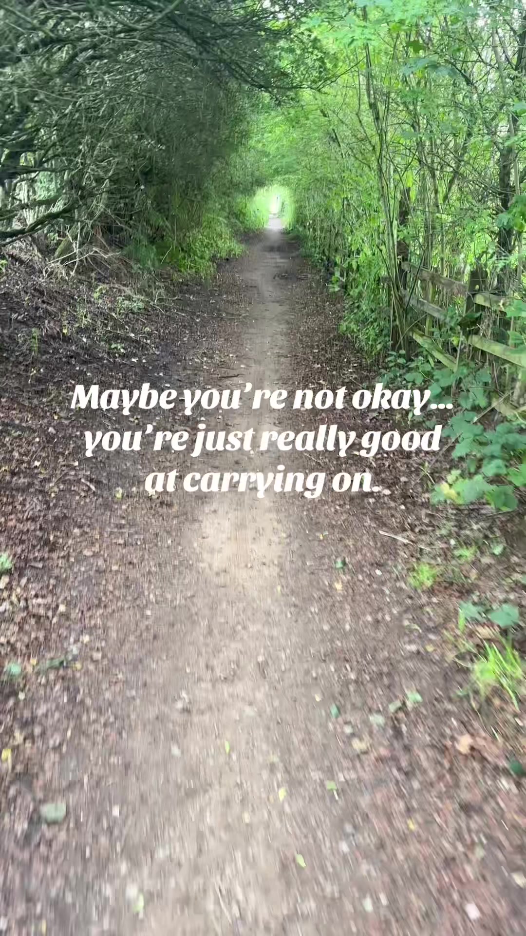 @thequietyou
