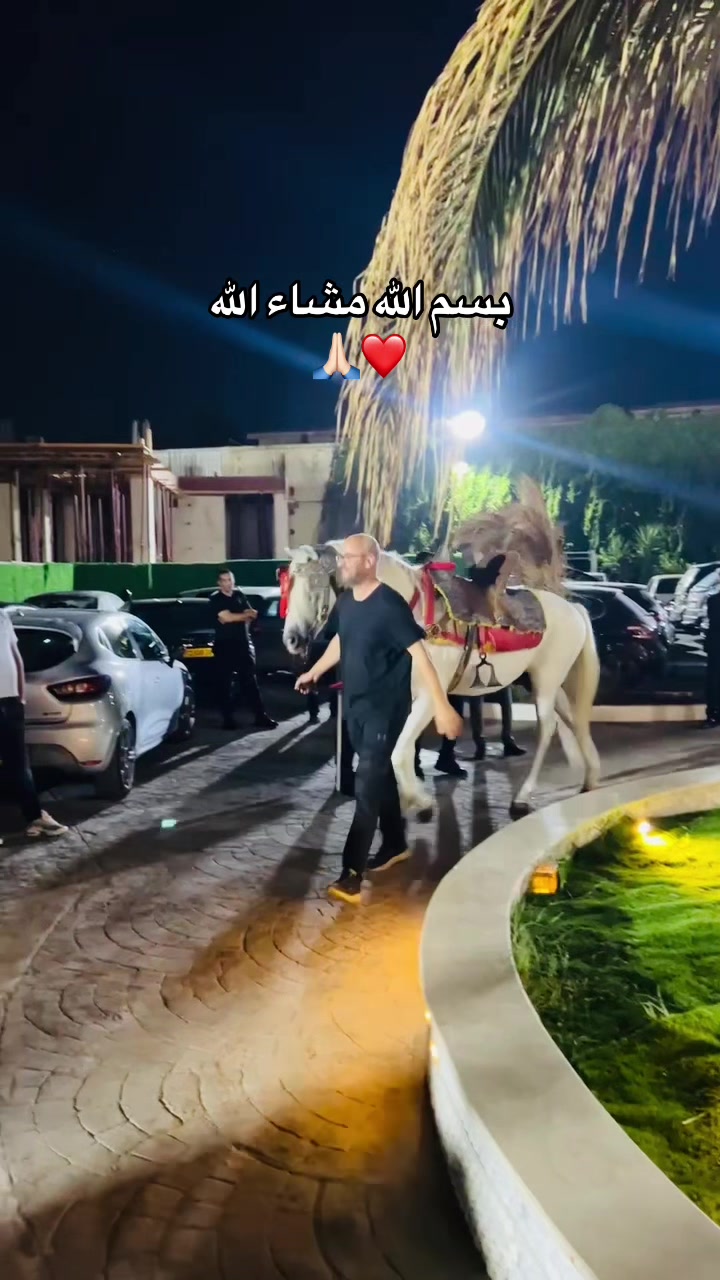 @location👑addi