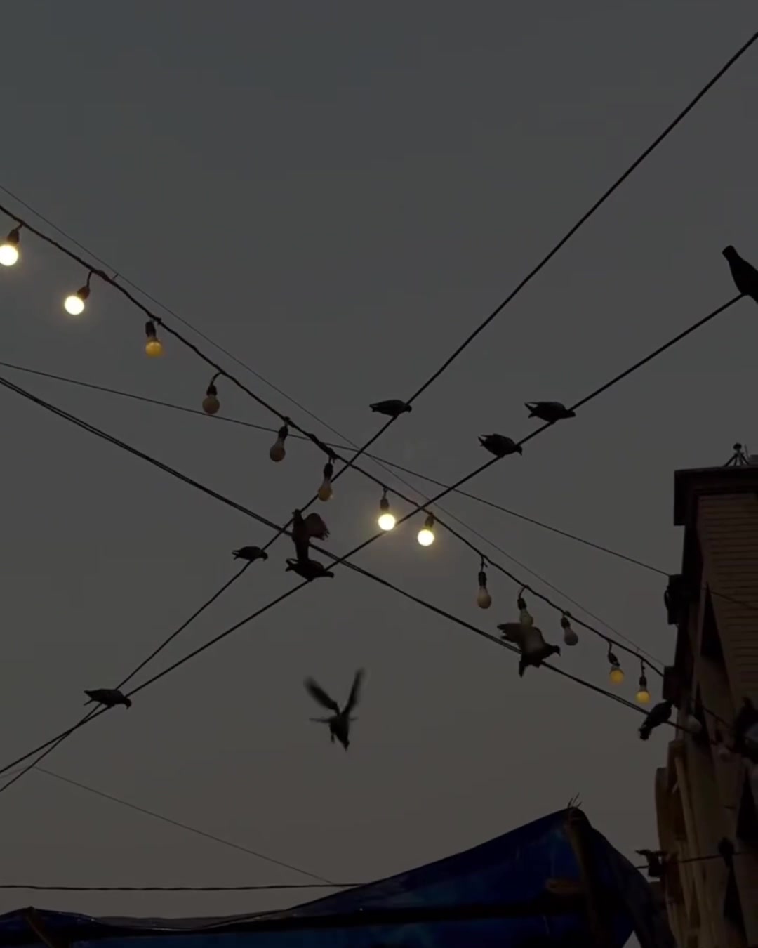 @احمد ؟