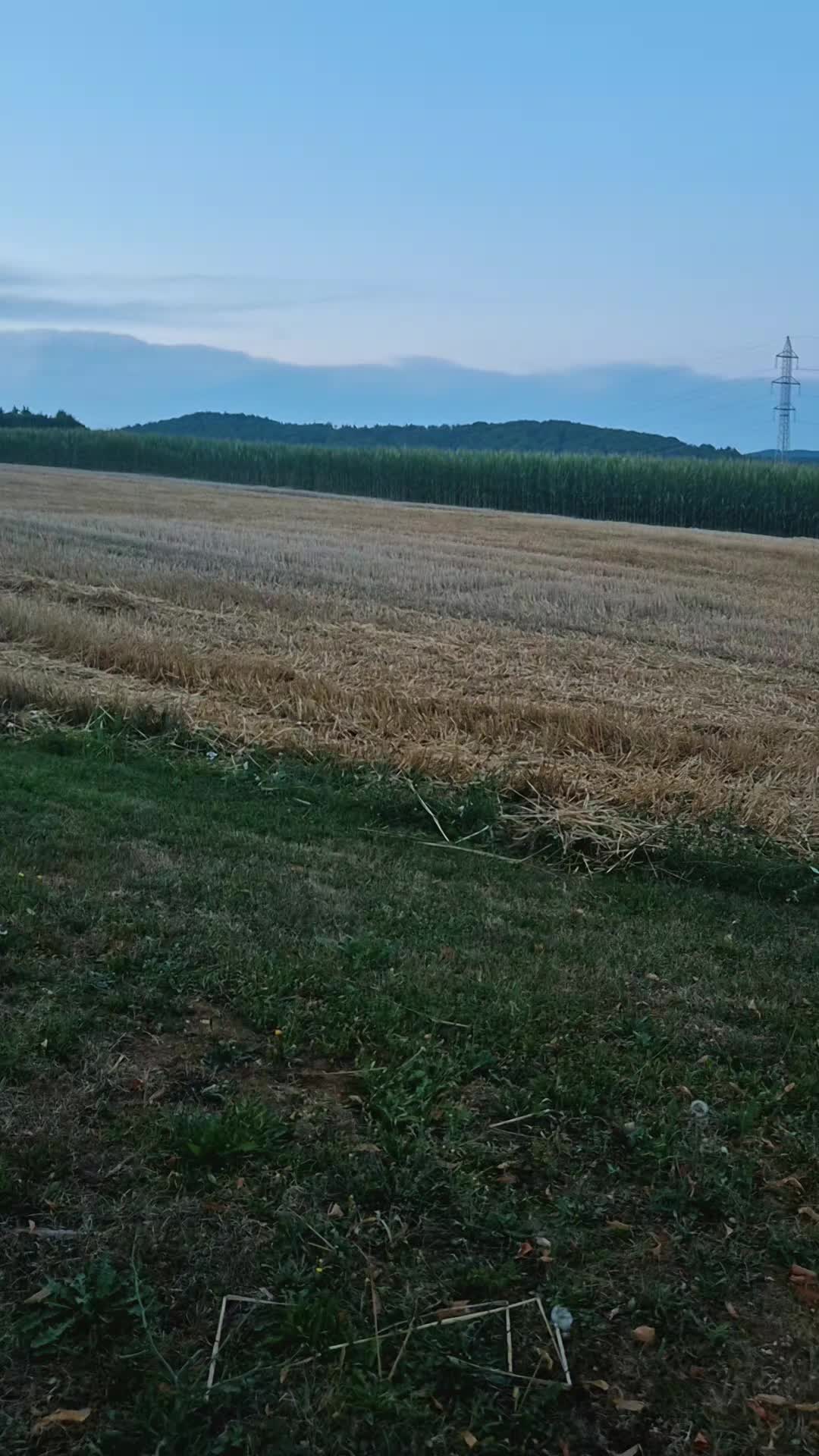 @★tetkiš☆