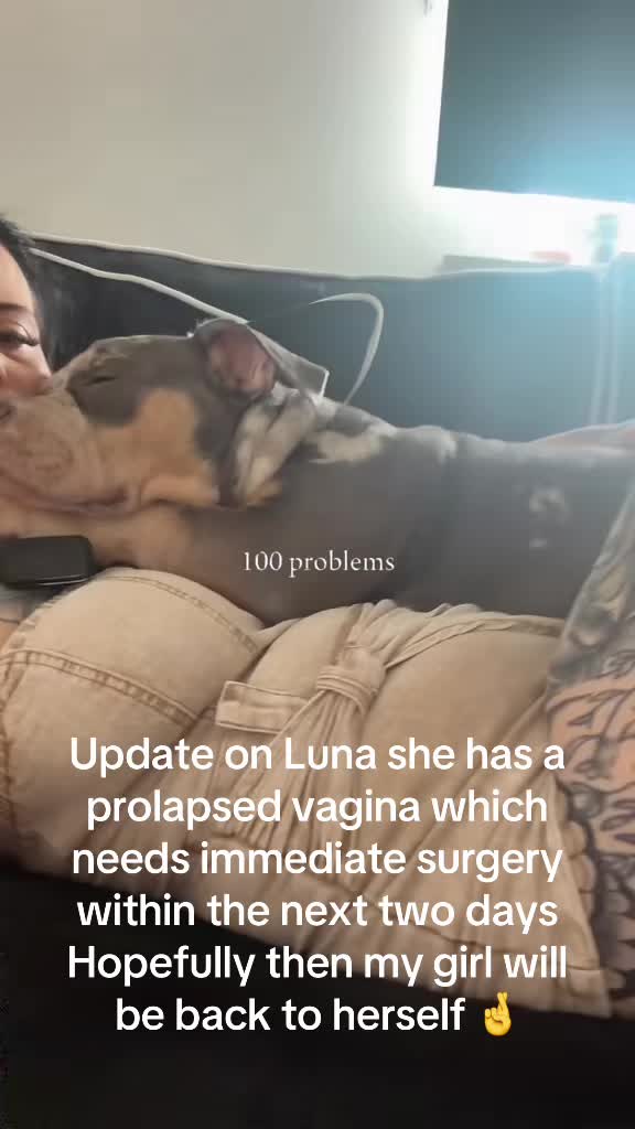 @S 🌶️😈TITS TEEF AND TATS🐦&zwj;🔥