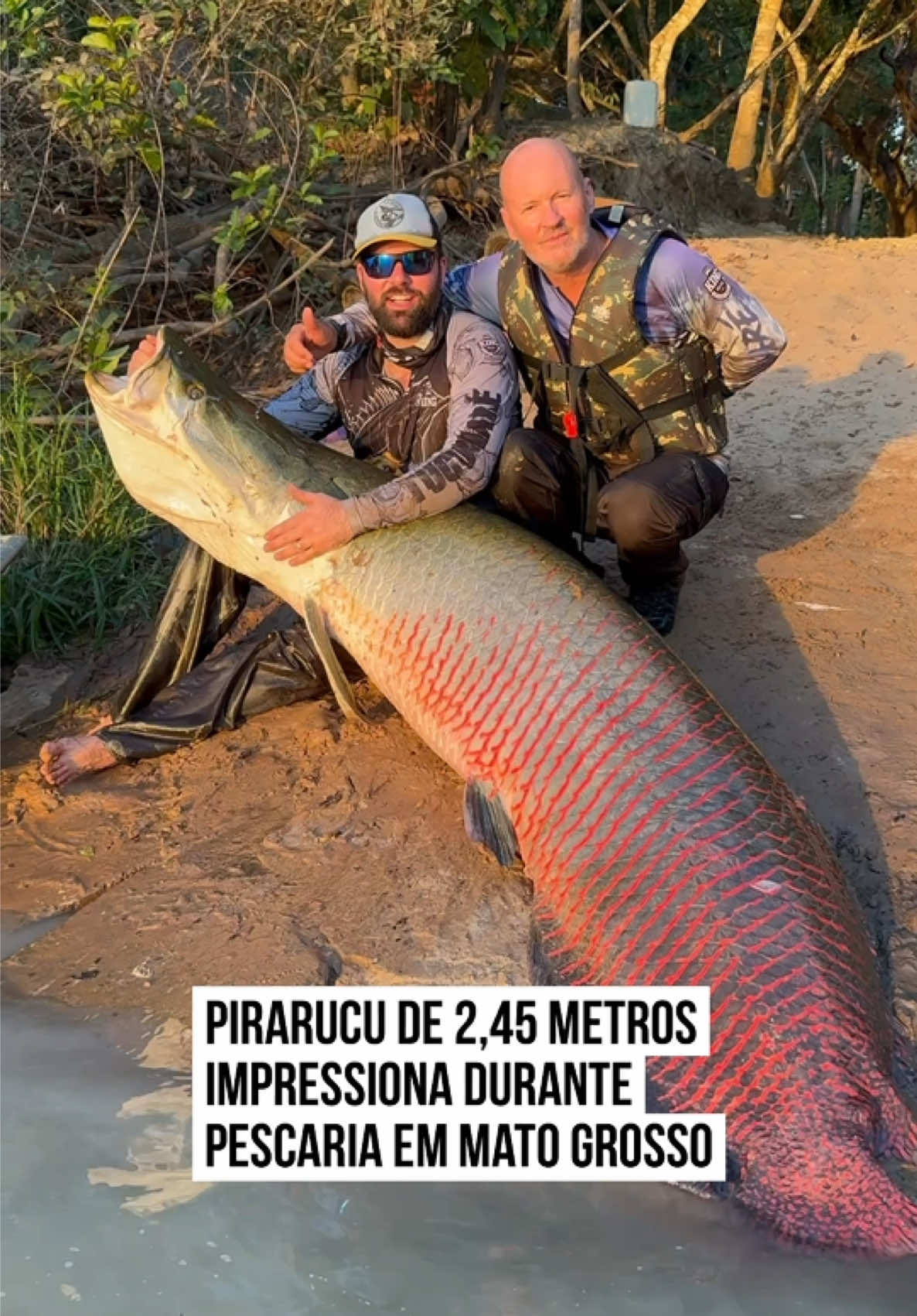 @Metr&oacute;poles Oficial