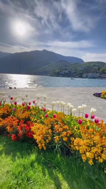 @zeycanakkusyildi3