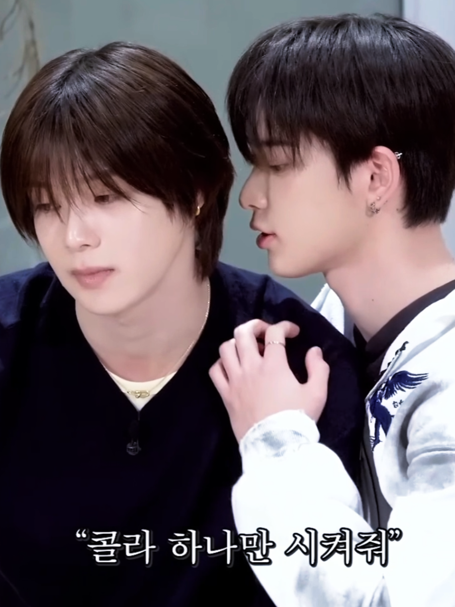 @haruaruh (&TV)