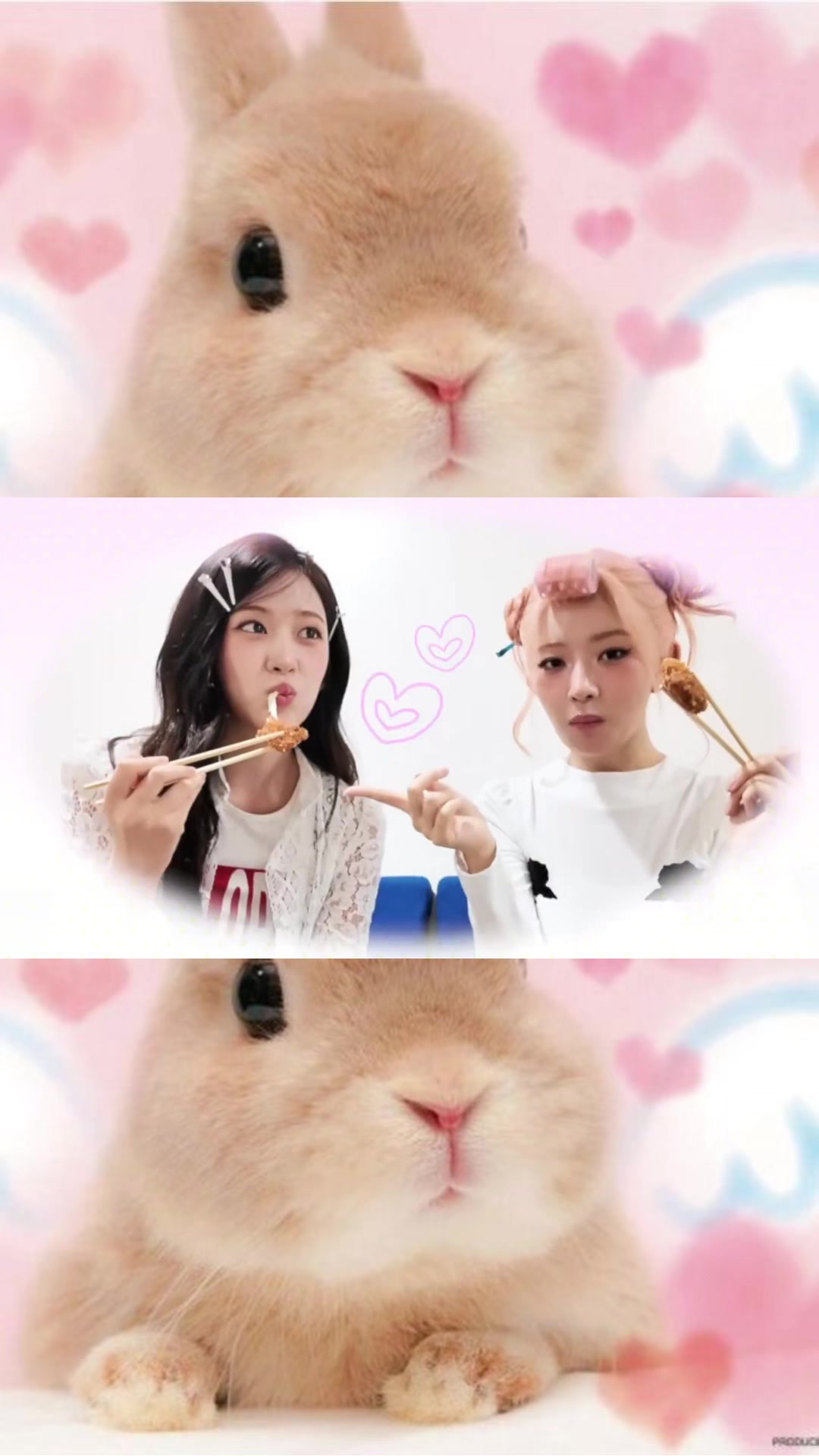 @hae ౨ৎ