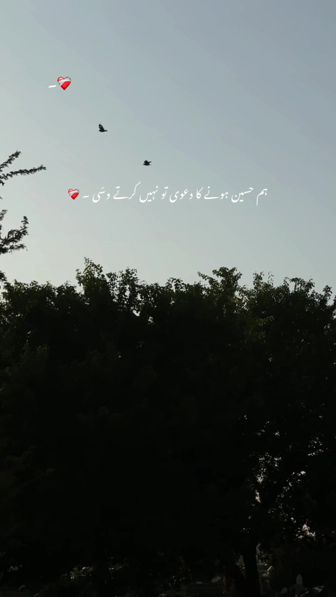 @𝘼𝙨𝙝𝙠-𝙚-𝘿𝙞𝙡 ❤️🩹🥀