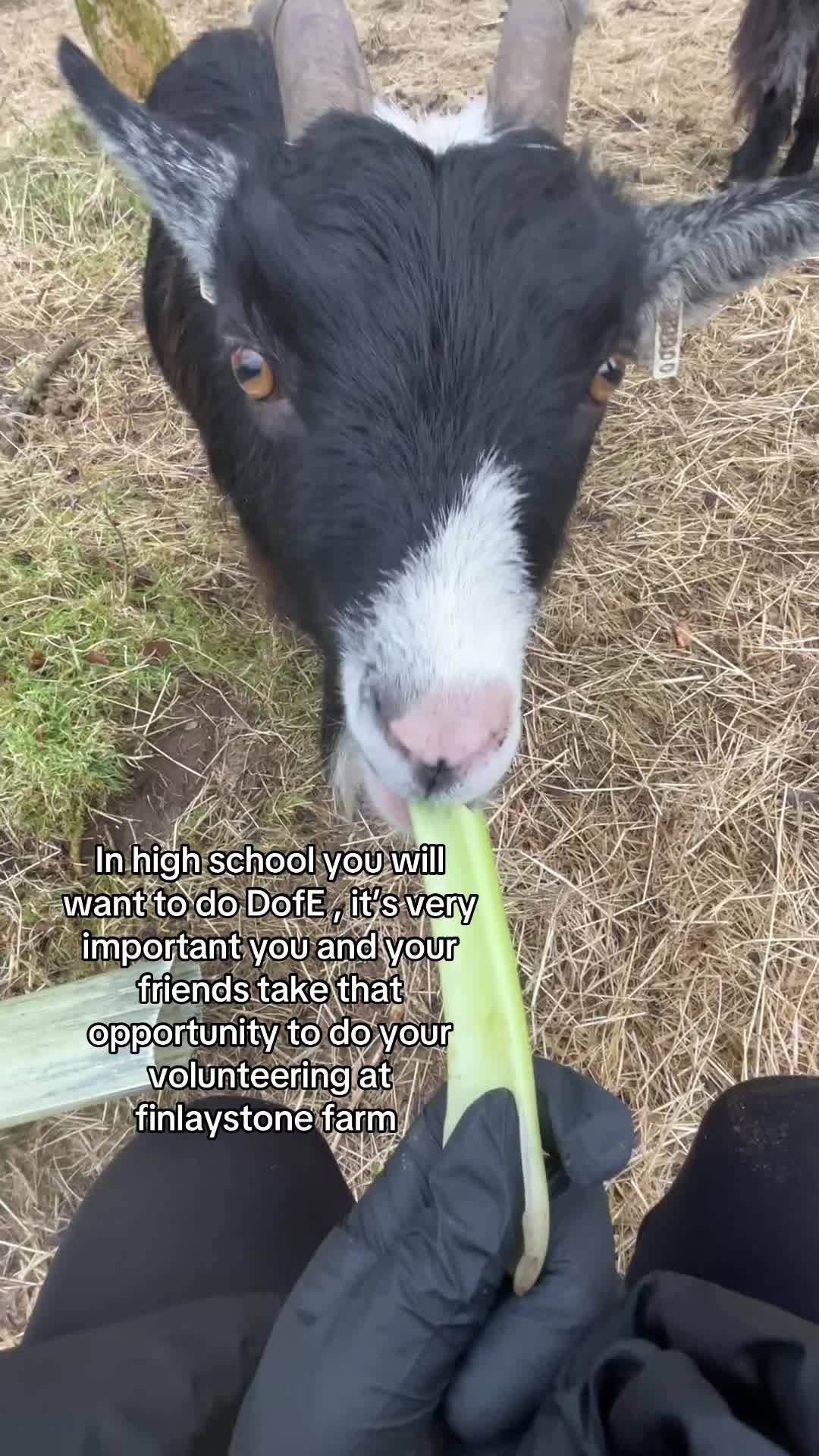 @lexi_spamz.14