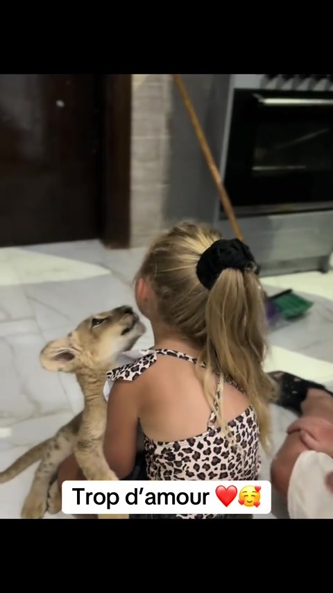 @jason duval 🐺