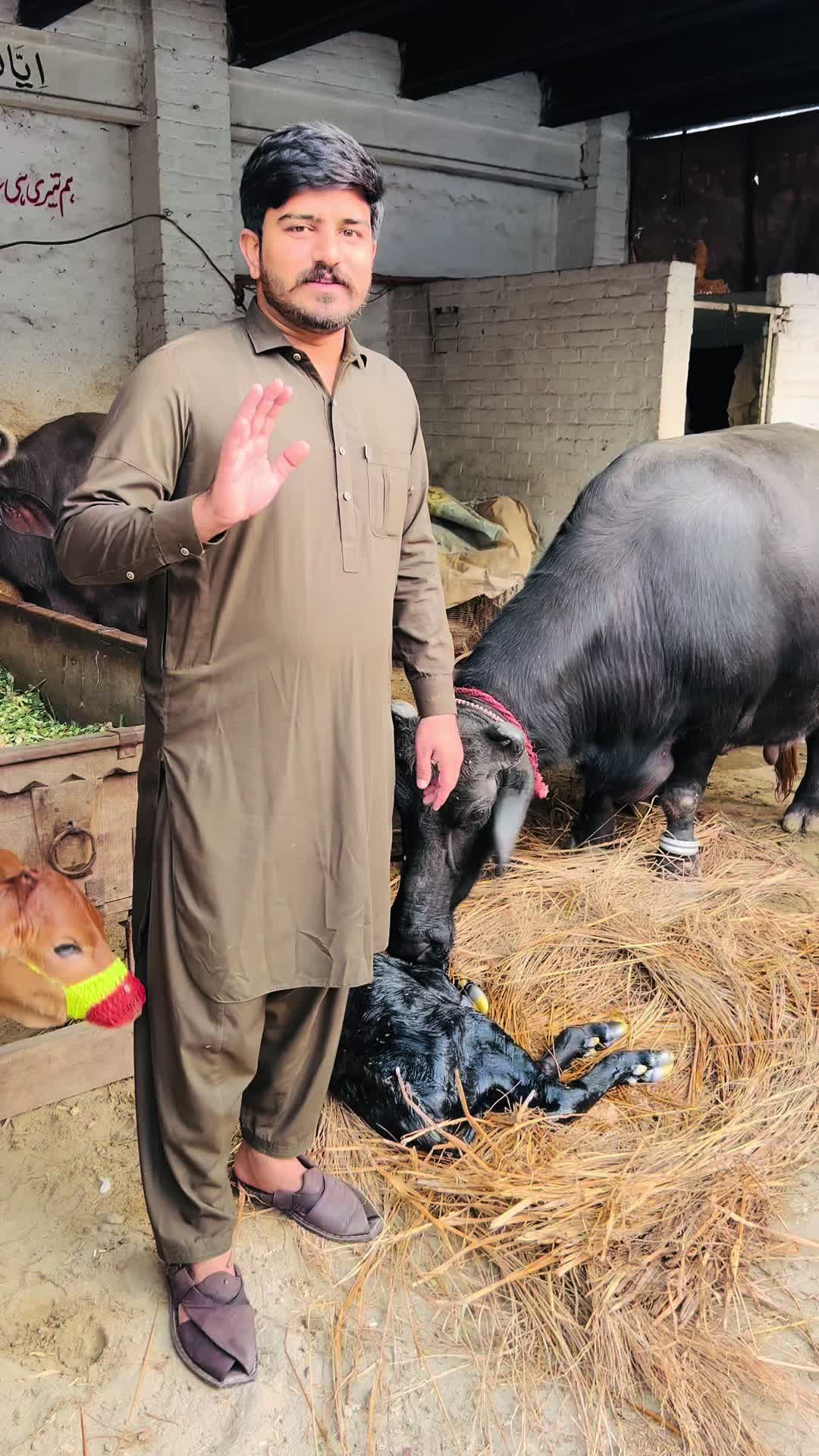@ڈیرہ سیٹھ حسن شیخوپورہ
