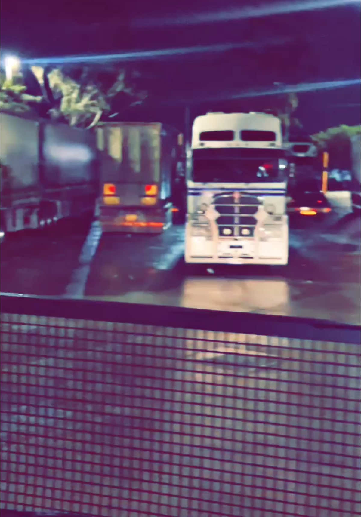 @🇦🇺 ᗰᗩᒎᕼᗩᎥᒪ 🎠🥷🏻🌪️