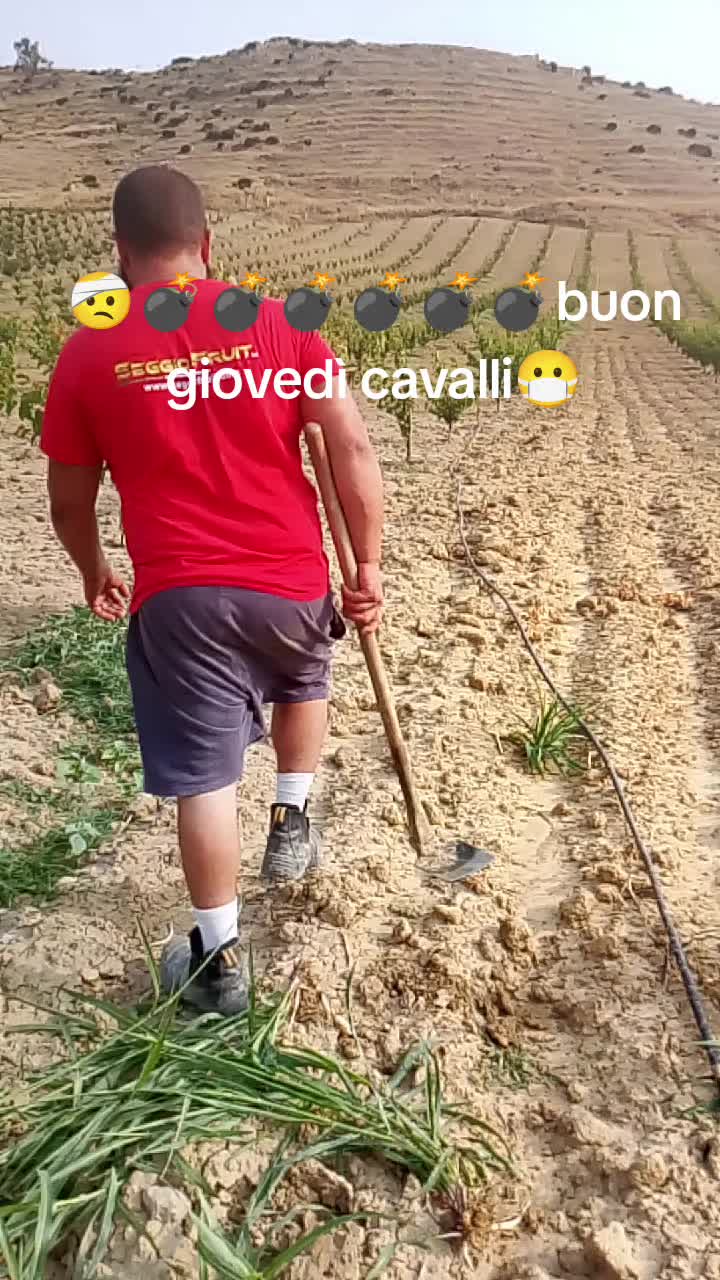 @Stefano Zagara