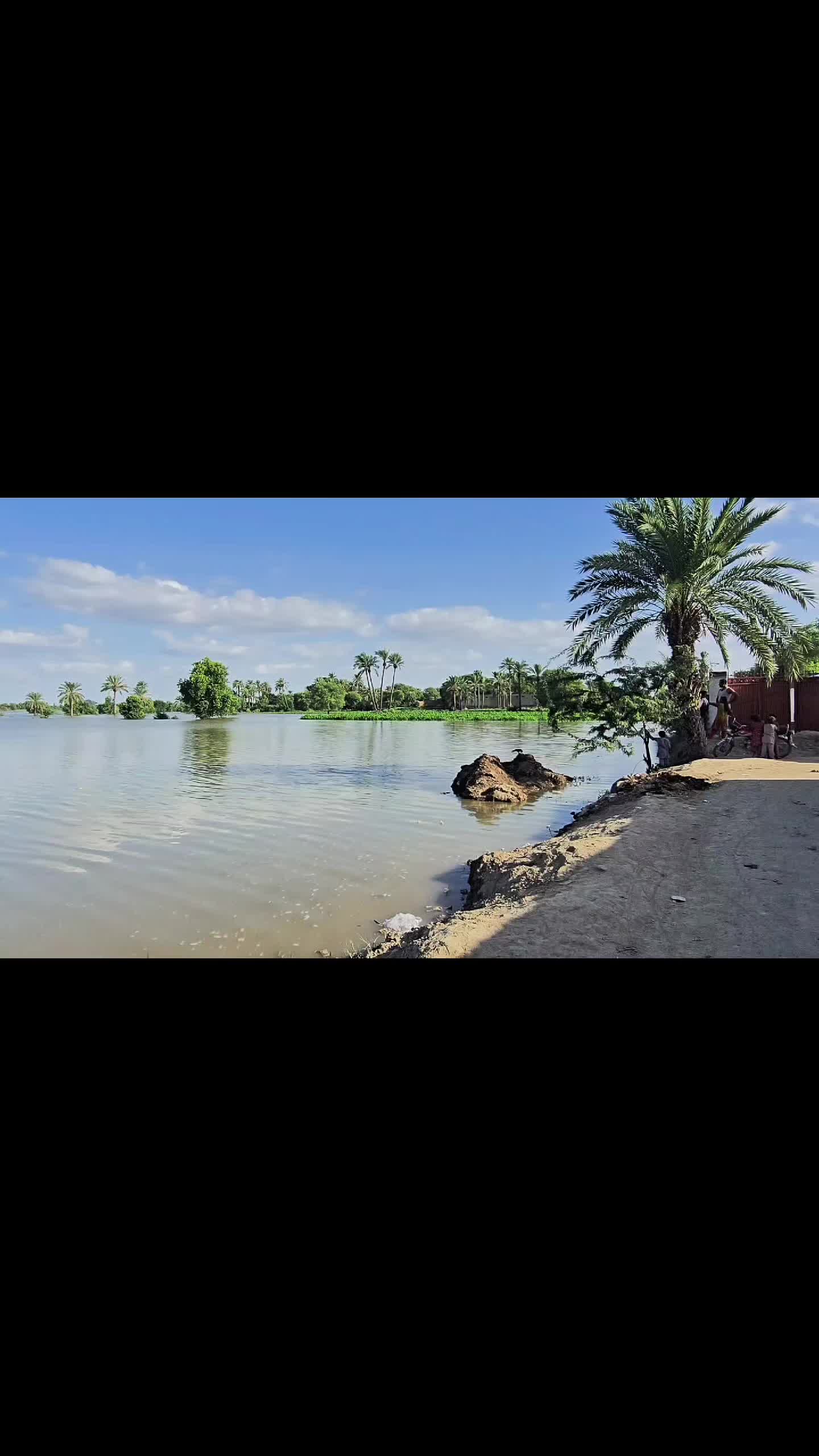 @tauseefmaqbool