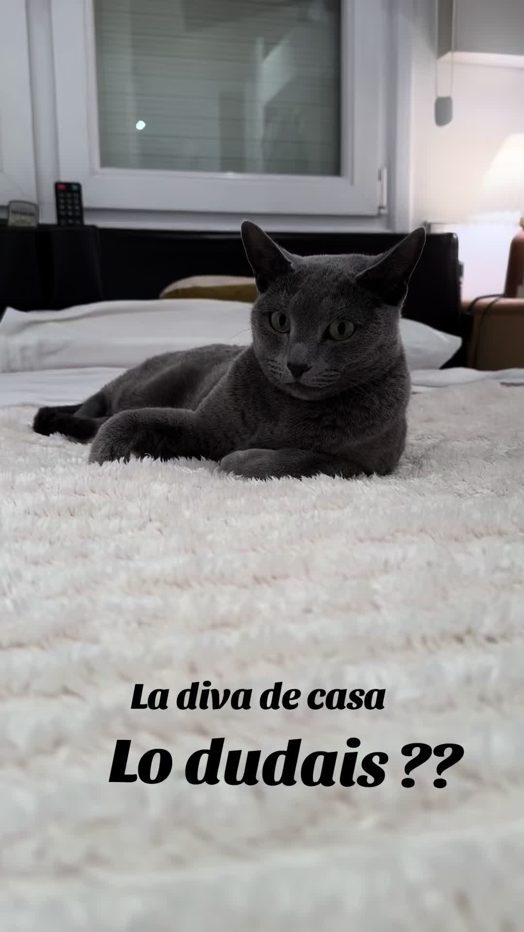 @Ganchito y su tropa