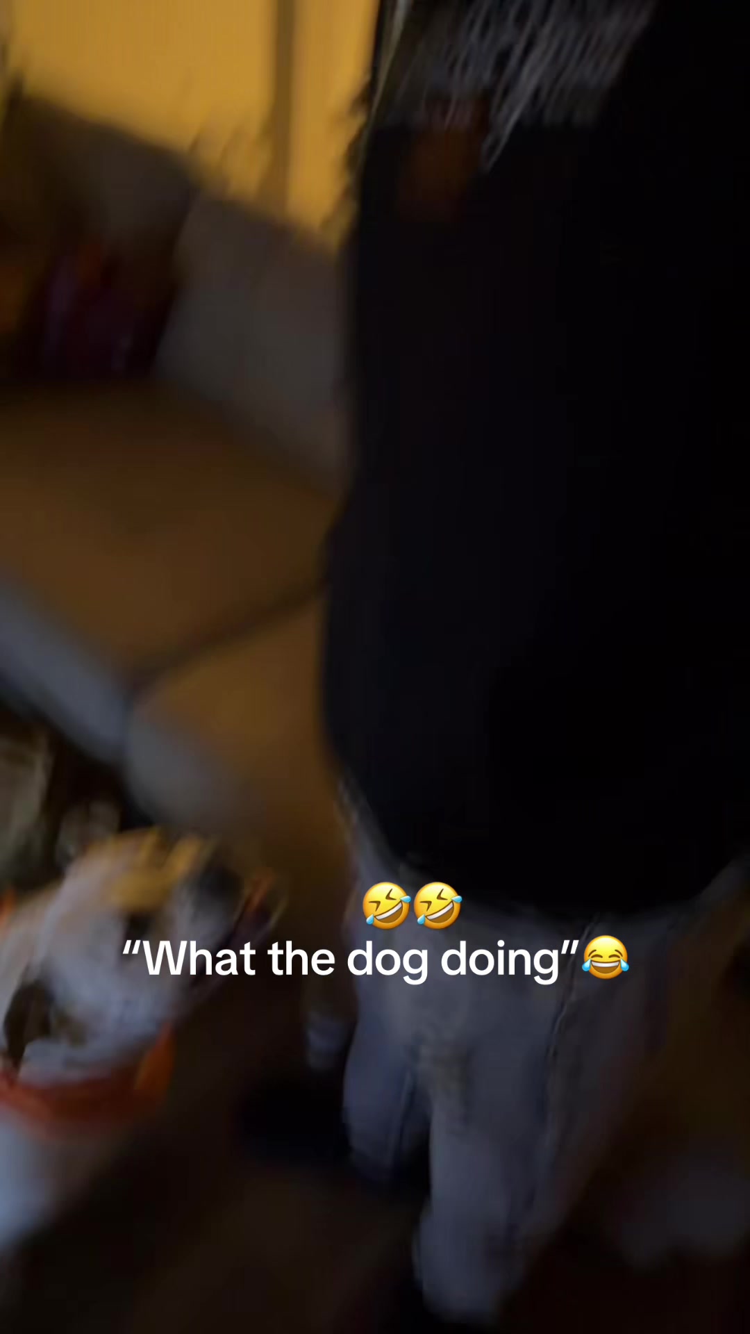 @Ducebang512