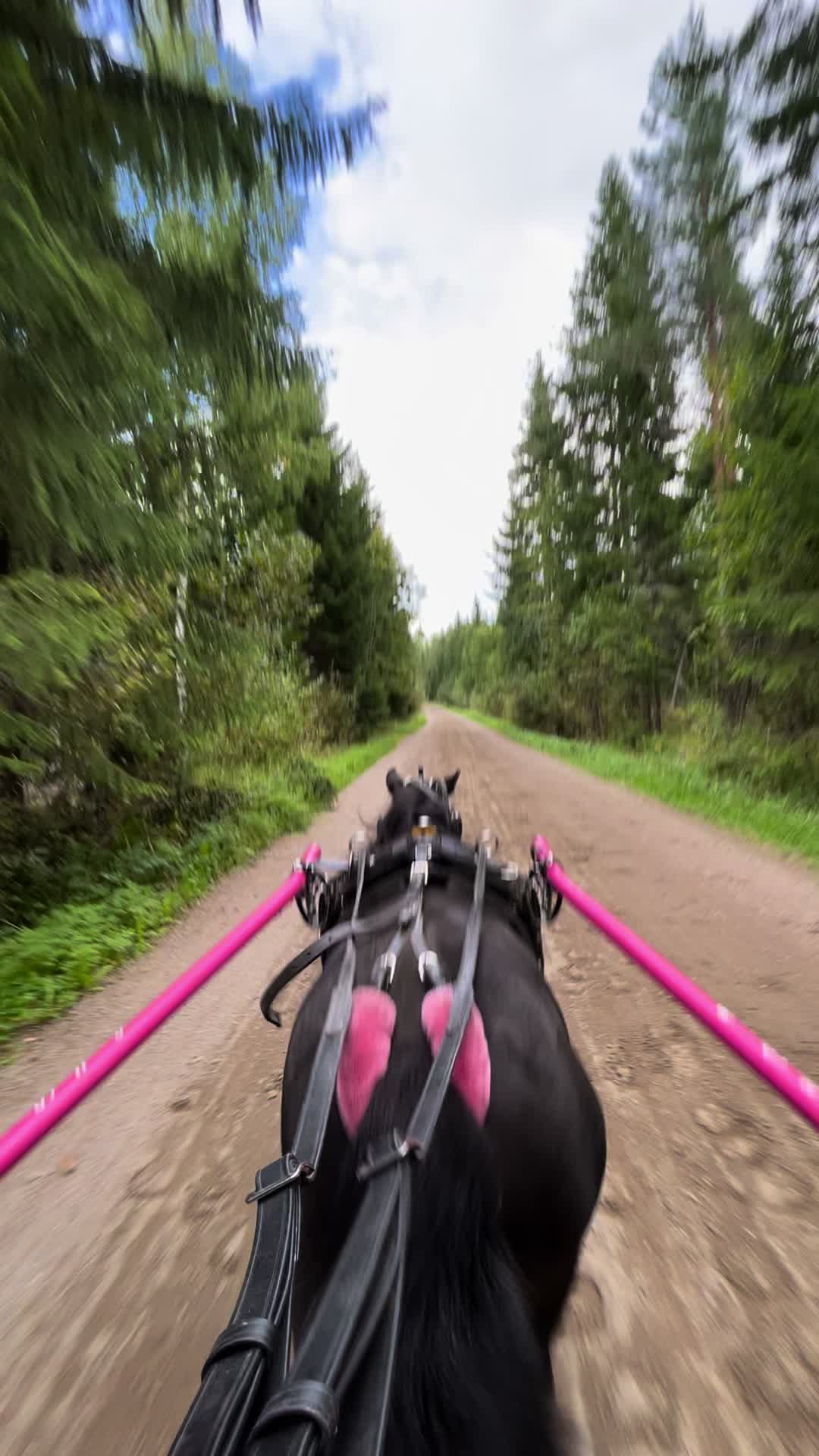 @🦄🦄