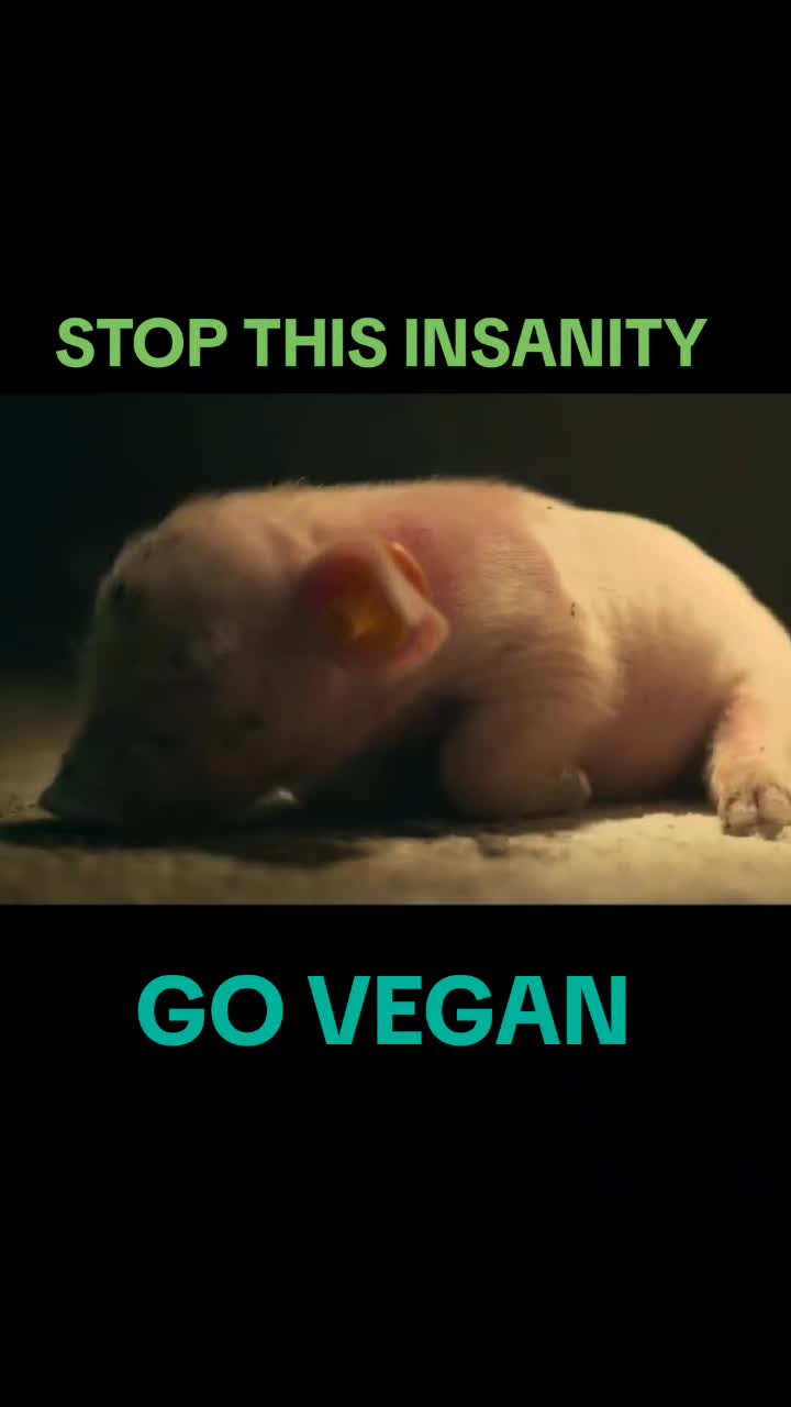 @advocate4animals