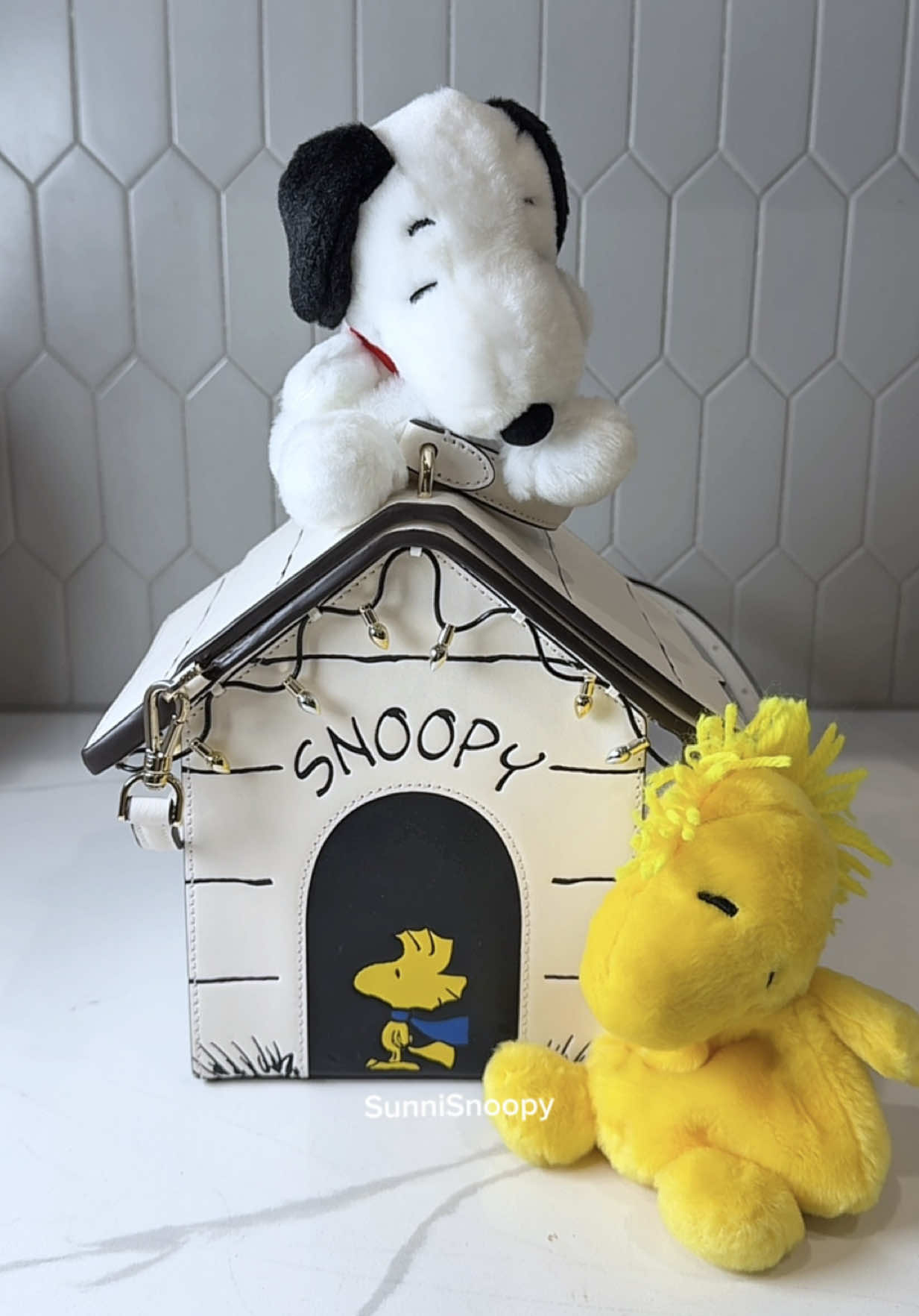 @SunniSnoopy | PEANUTS