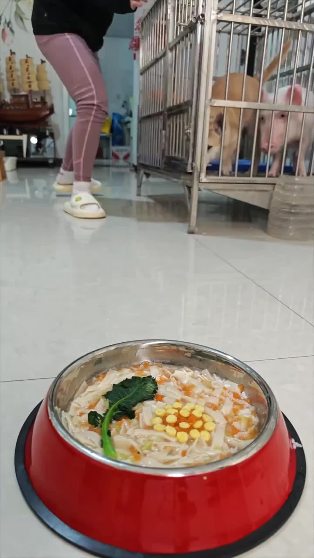 @Mia